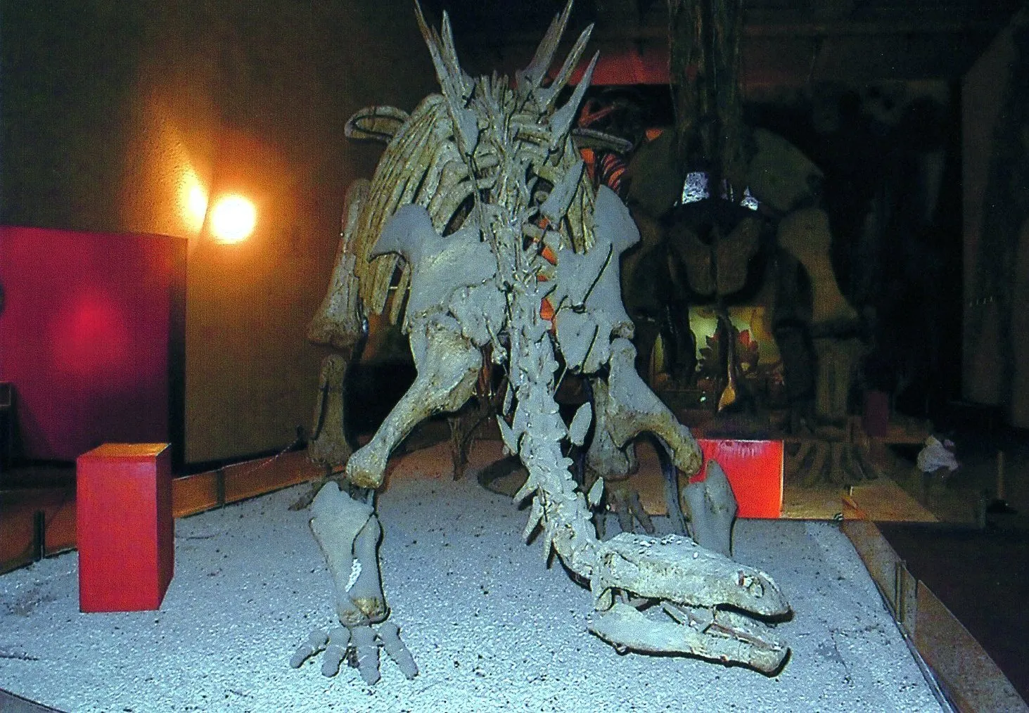 中国旅行記＠上海市内観光＆上海自然博物館編。上海自然博物館の剣竜類の化石