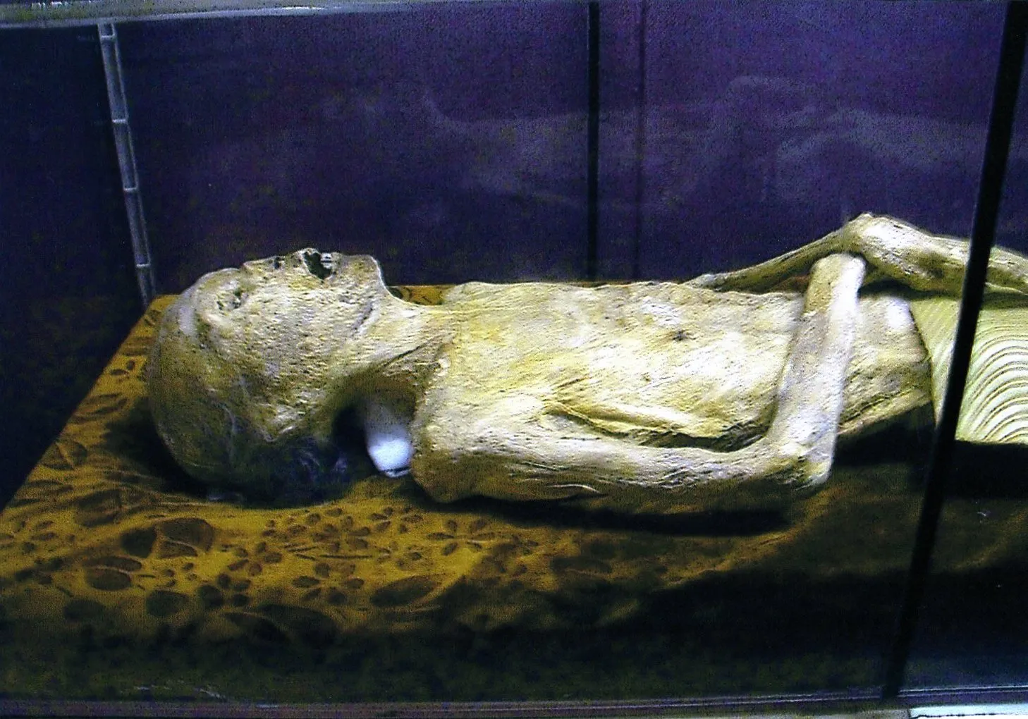 上海自然博物館にあるミイラ