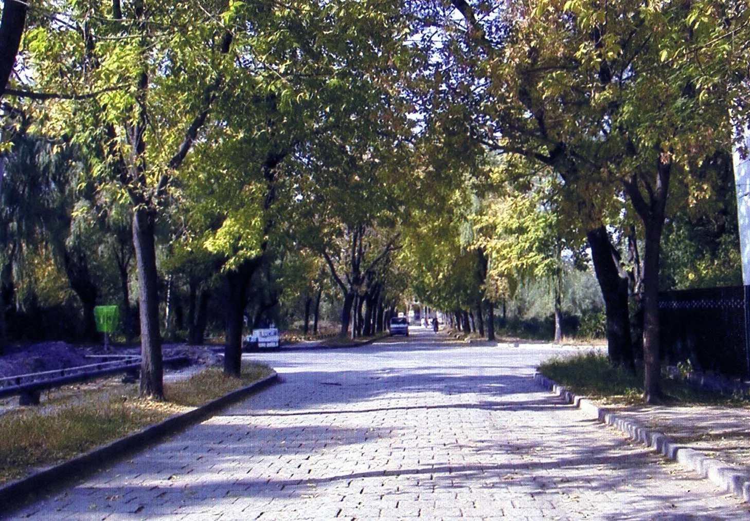 中国黒竜江省哈爾浜(ハルビン)市の太陽島。石畳がロシアの帝政時代の名残