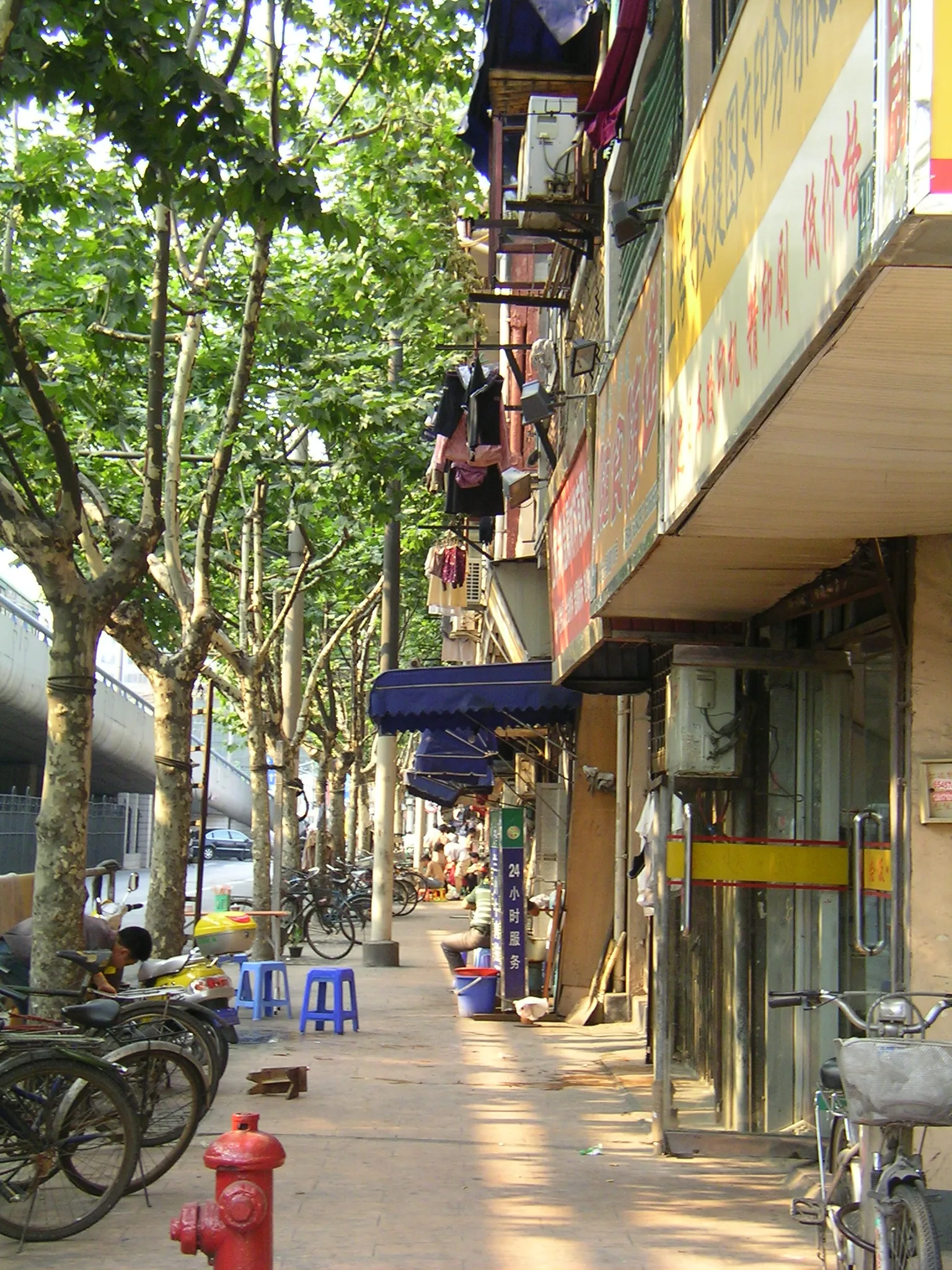 上海市内観光旅行記　上海の市外を散歩していた時の写真