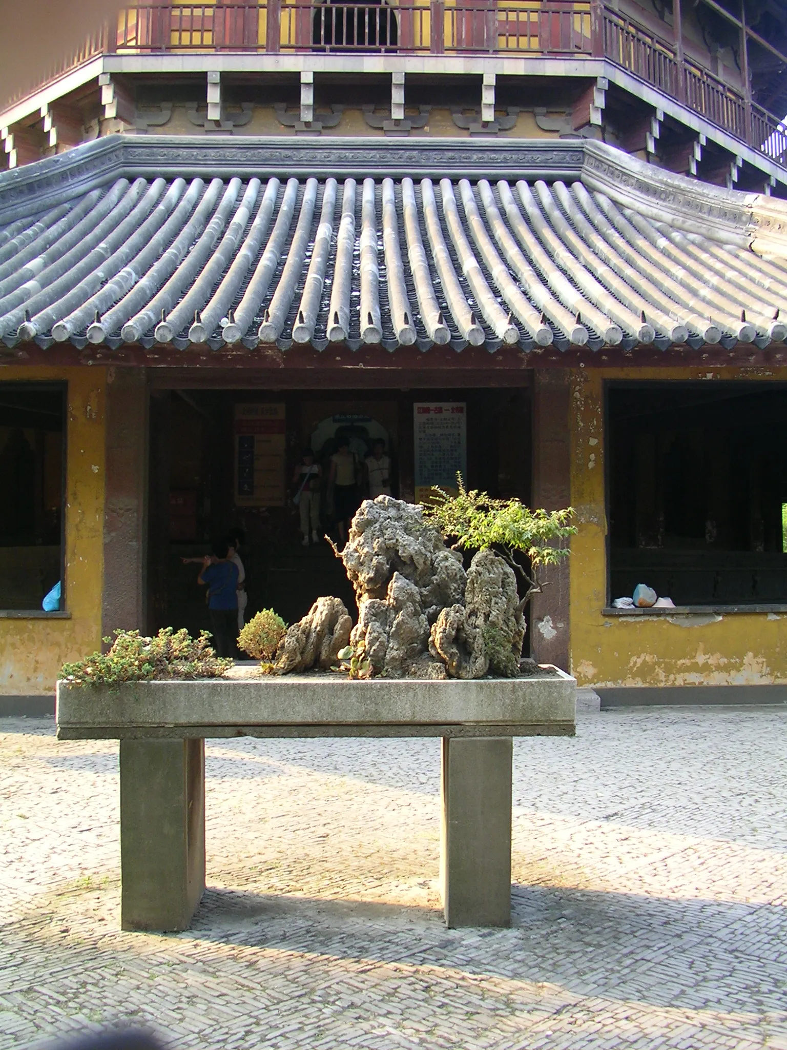 盆栽のようなものがありました