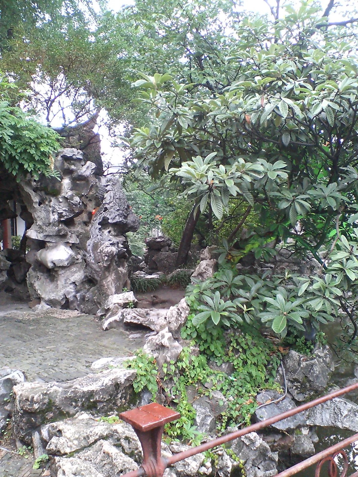 蘇州観光　ここは拙政園の庭園のどこか