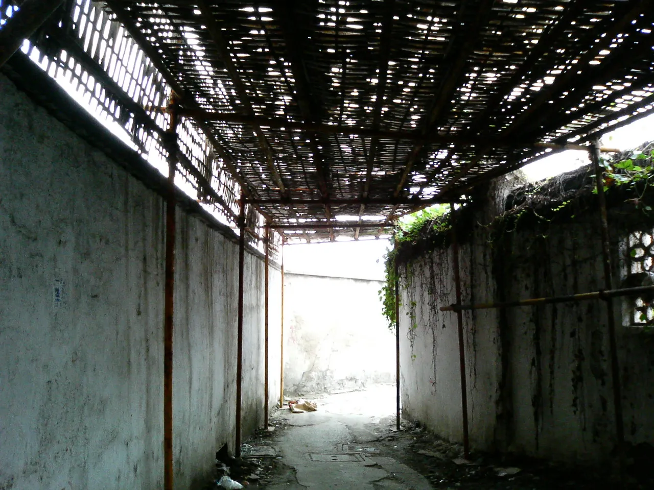 万博会場の建設地