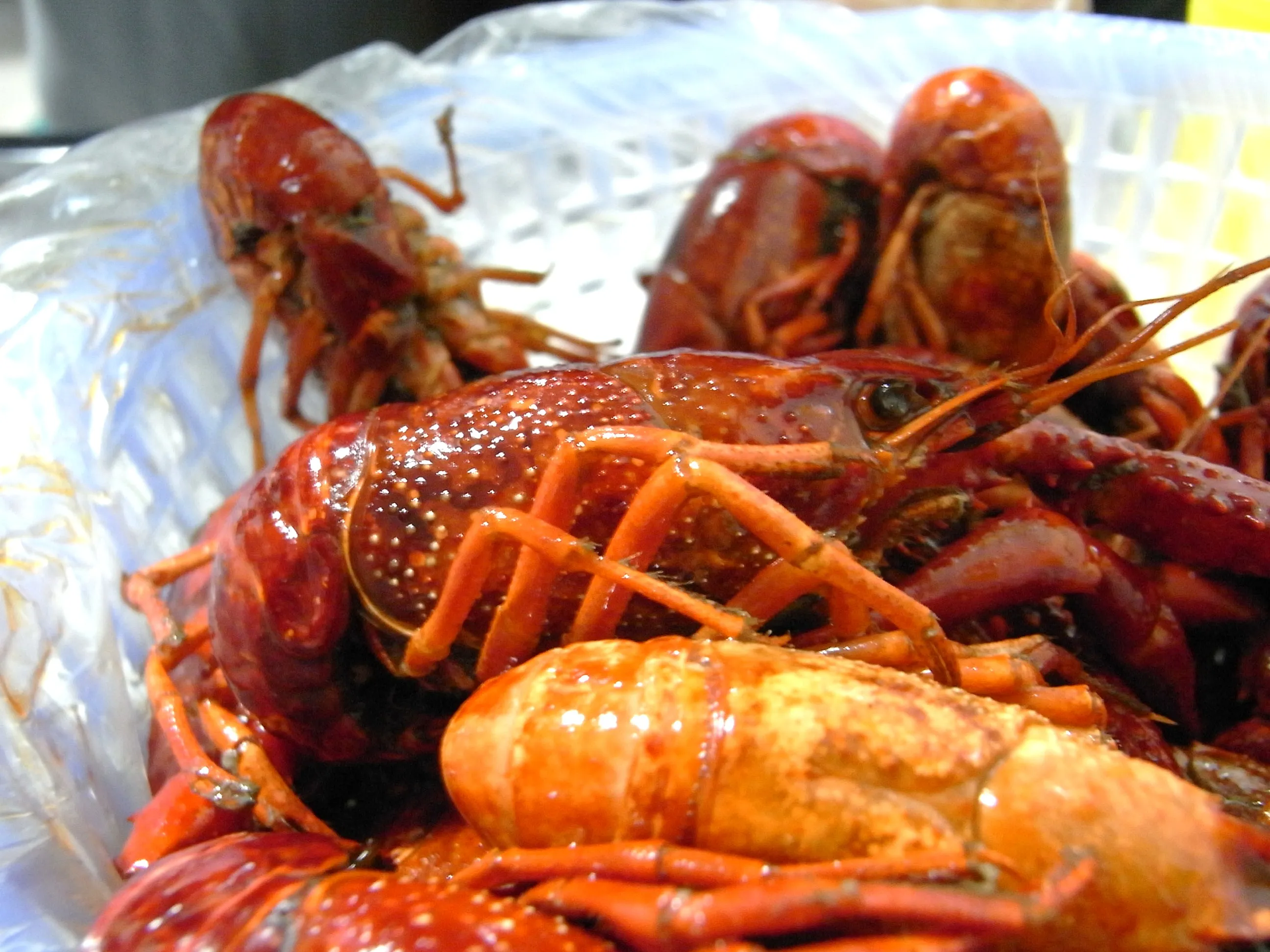 頭が大きいザリガニ料理