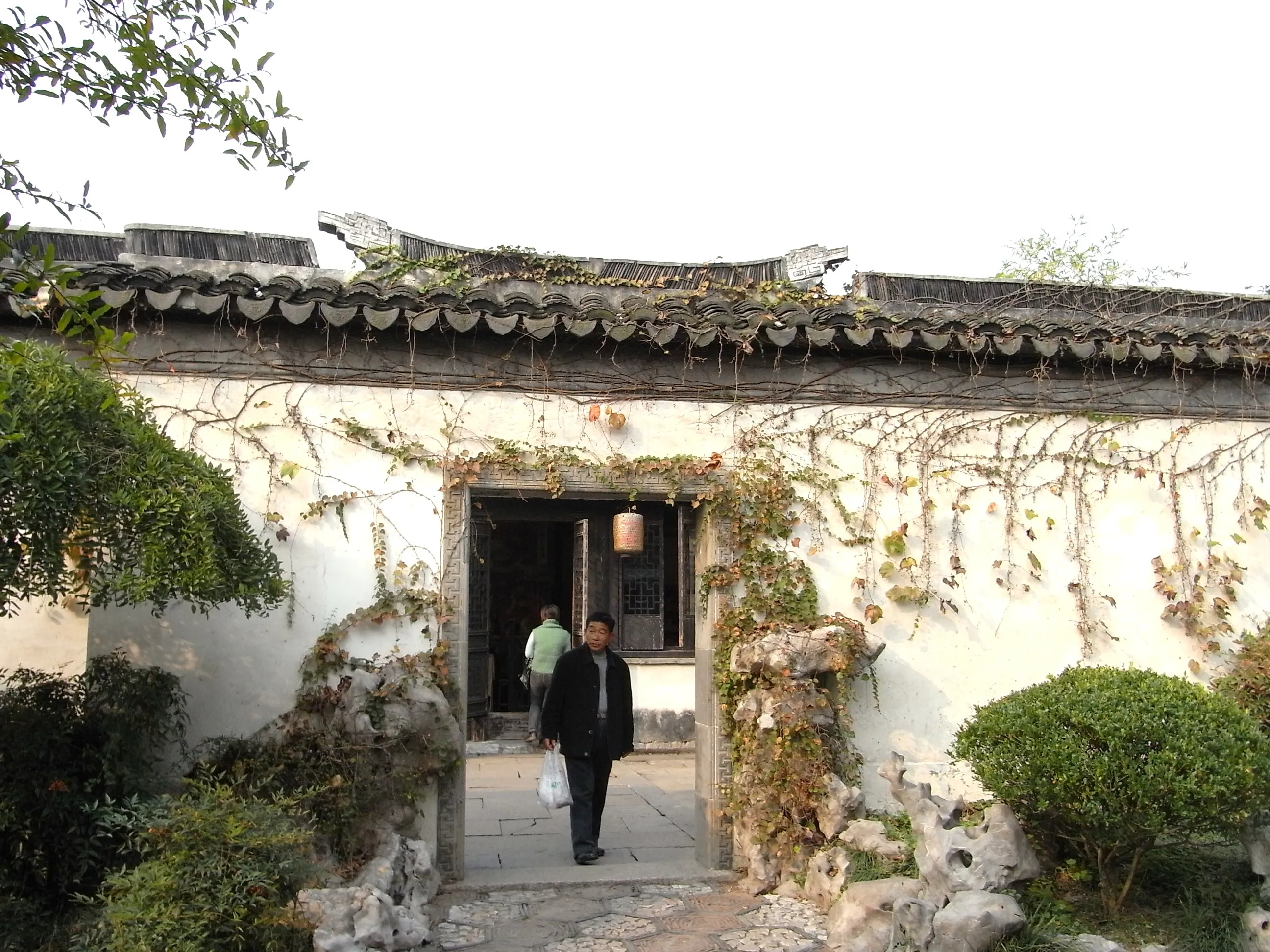 張庁（玉燕堂）の塀に這うつた