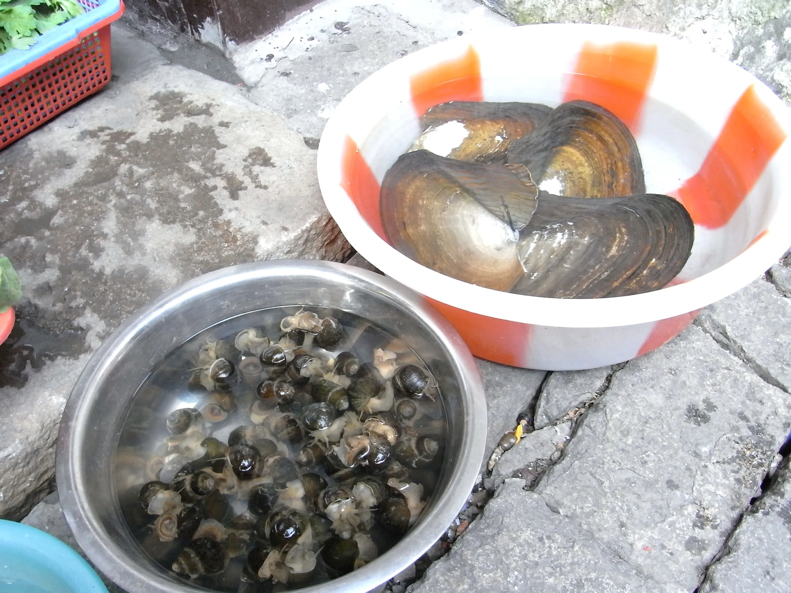 路上で販売される大きな貝と蜆