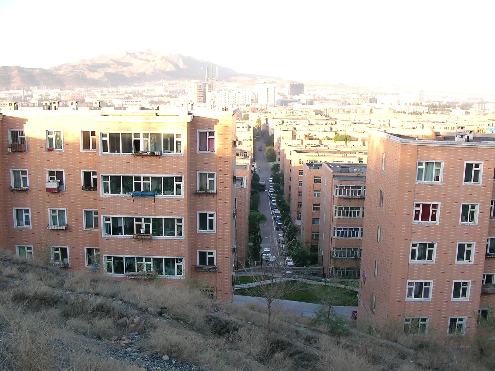 朝のウルムチ市と天山山脈