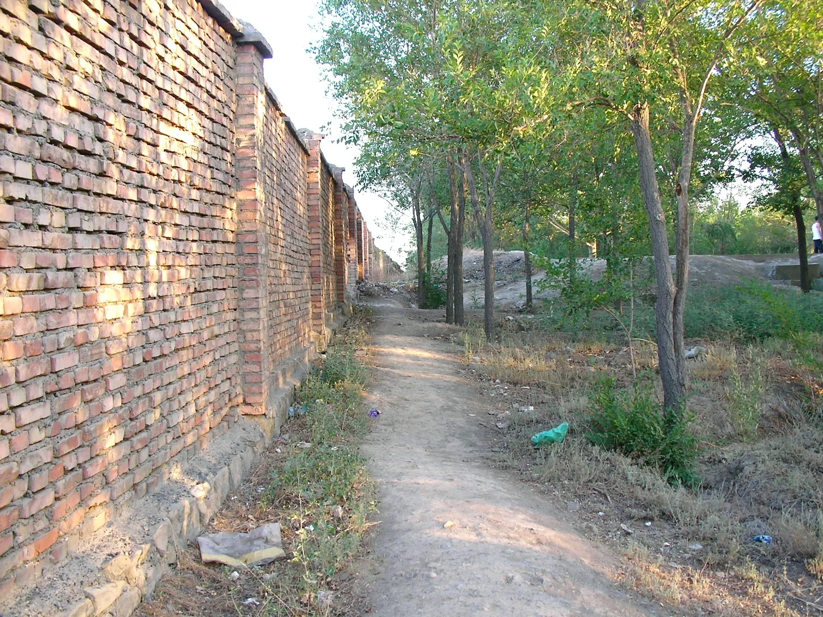 朝の散歩をするおじさん達