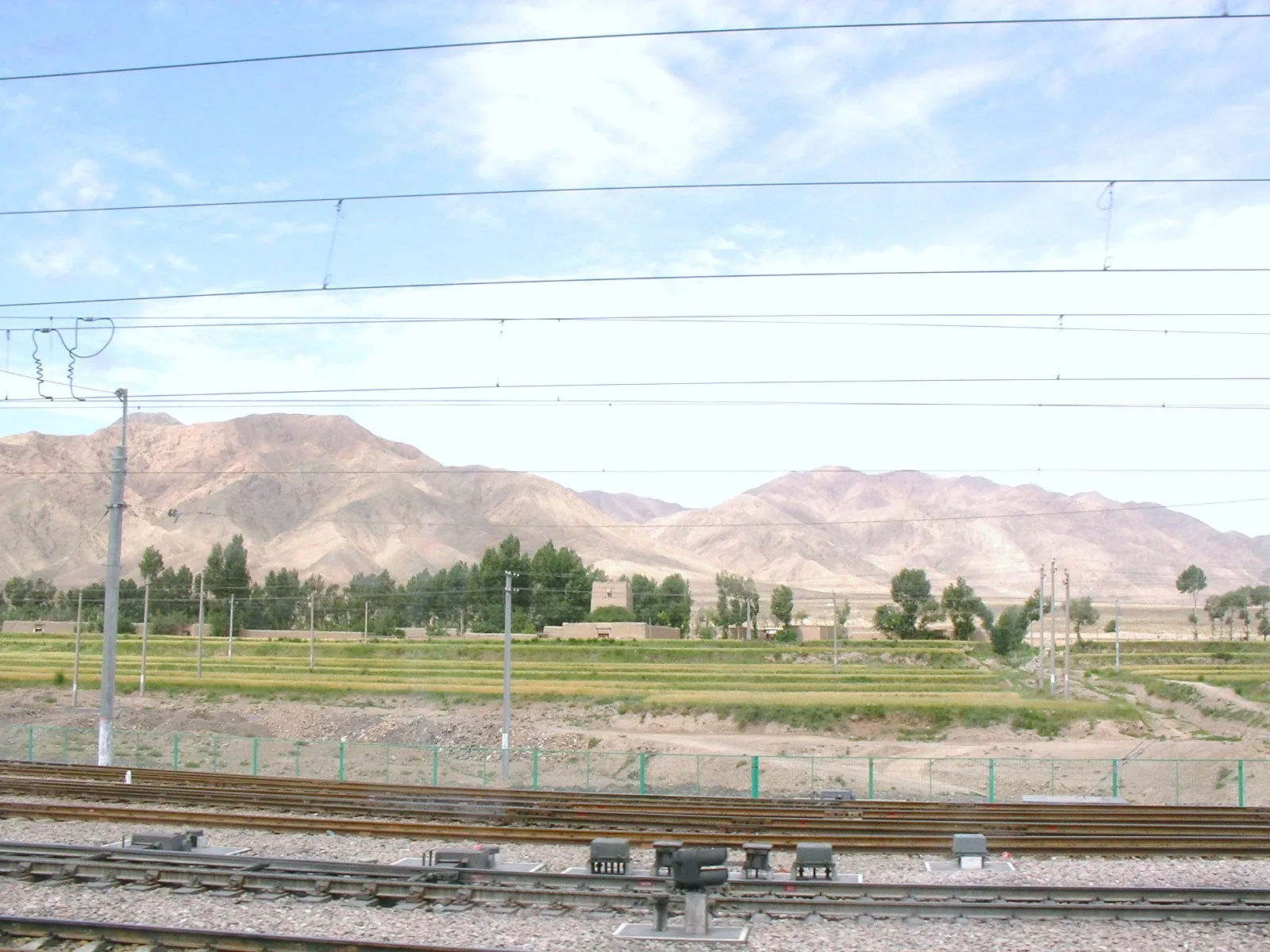 禿山と緑が続く新疆の郊外