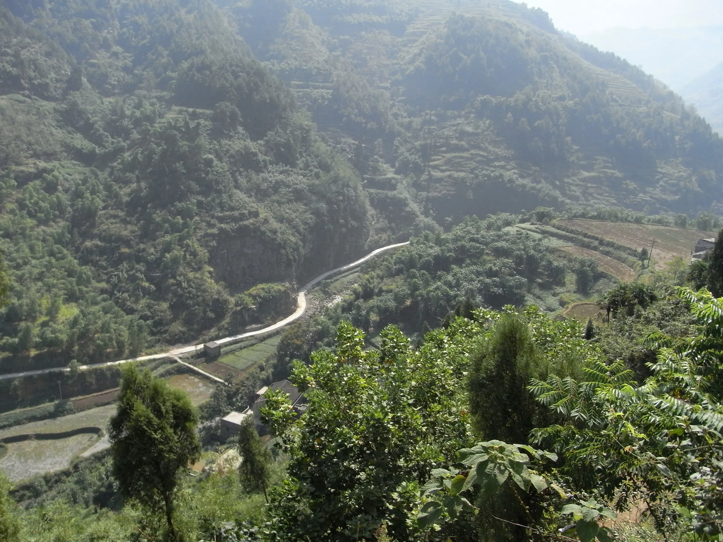 日本の田舎のような山間部