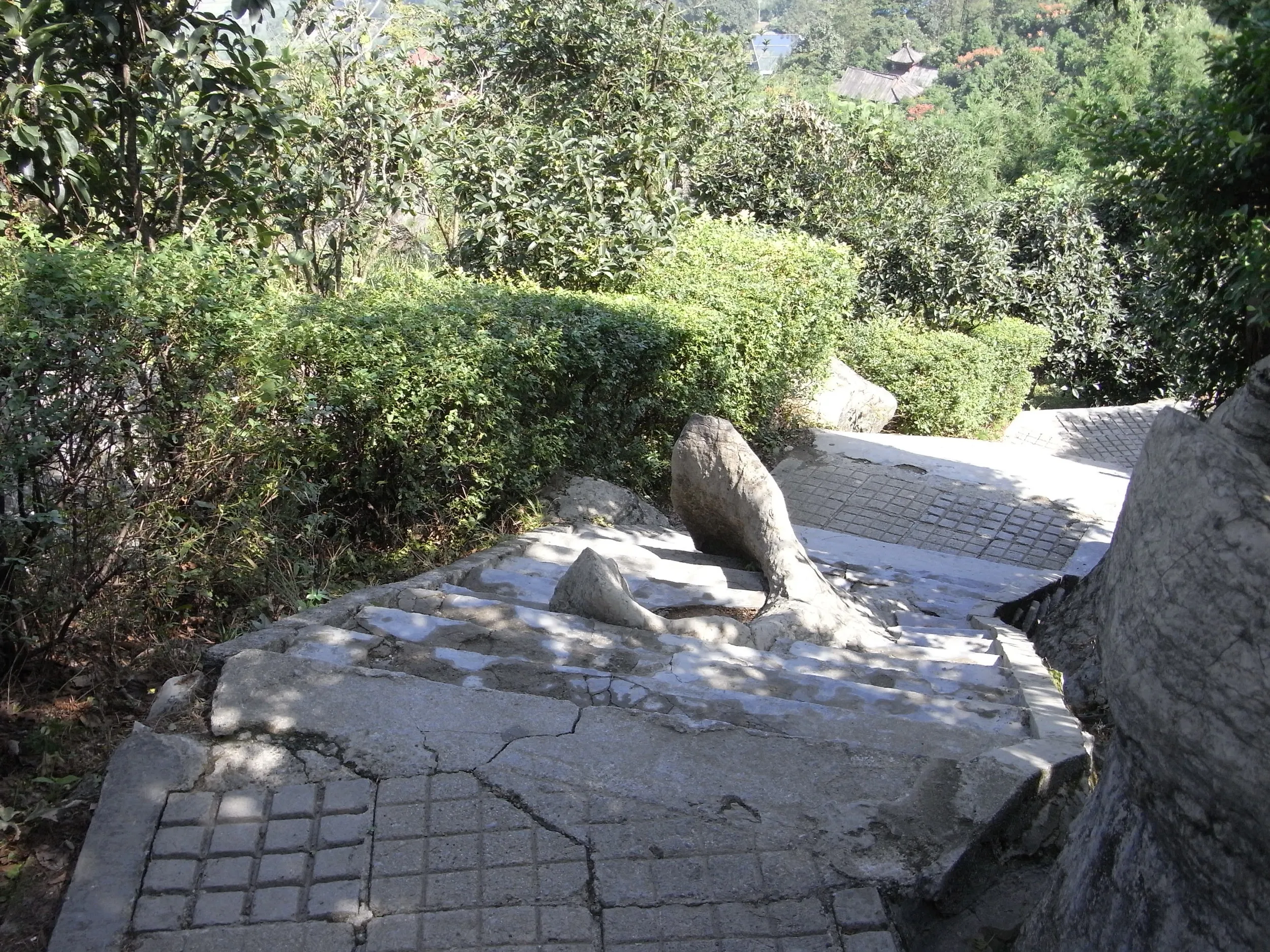 階段横の石灰岩