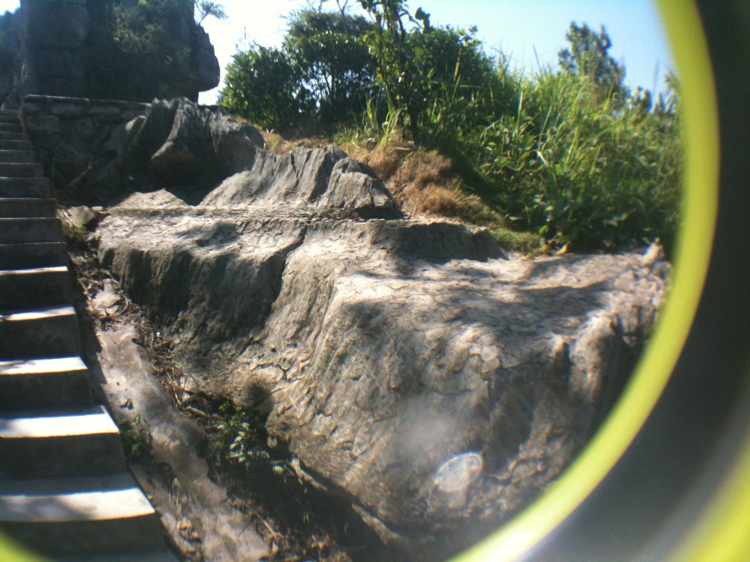 露出した石灰岩の地層