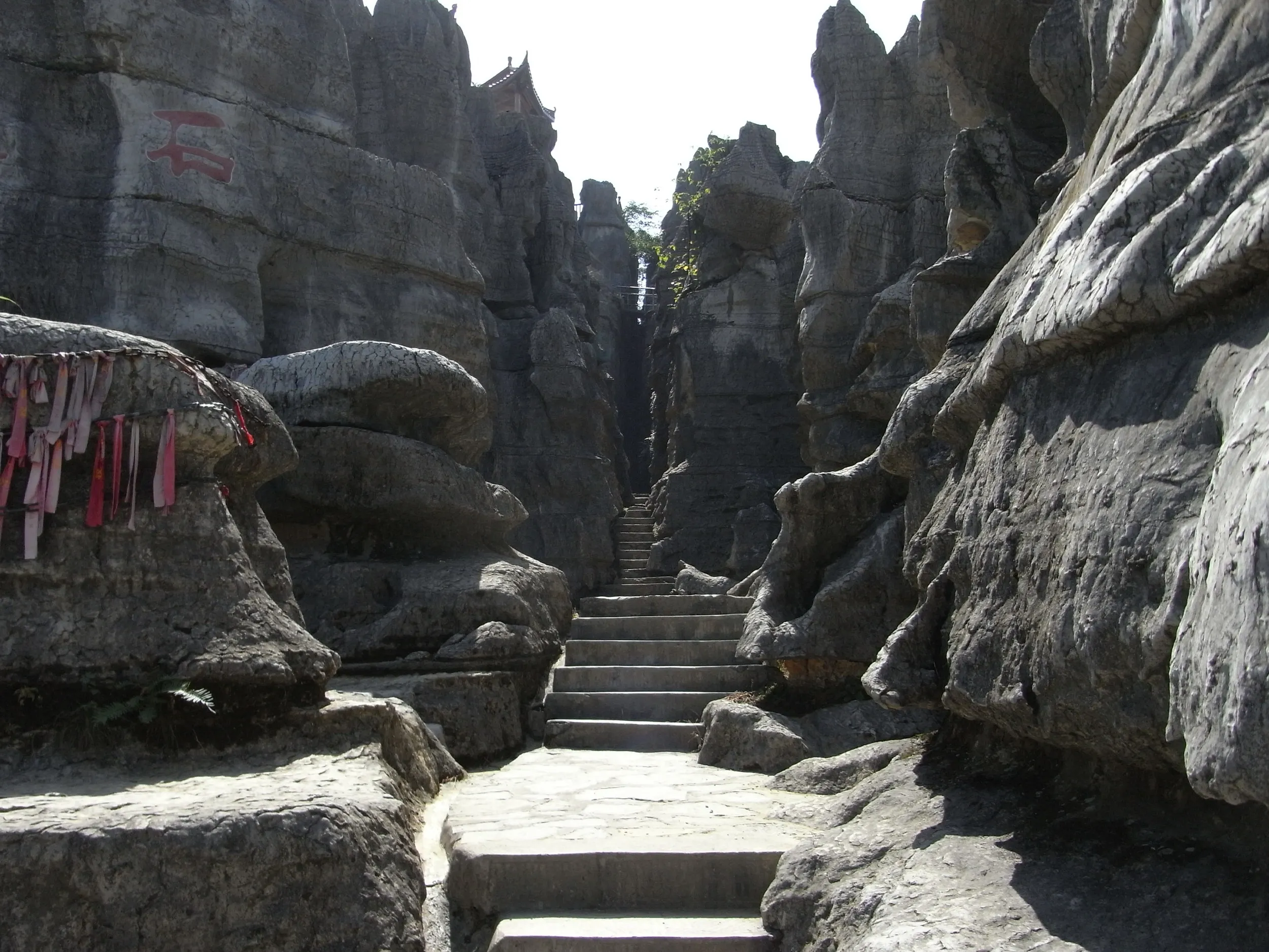 石林の中へ突入