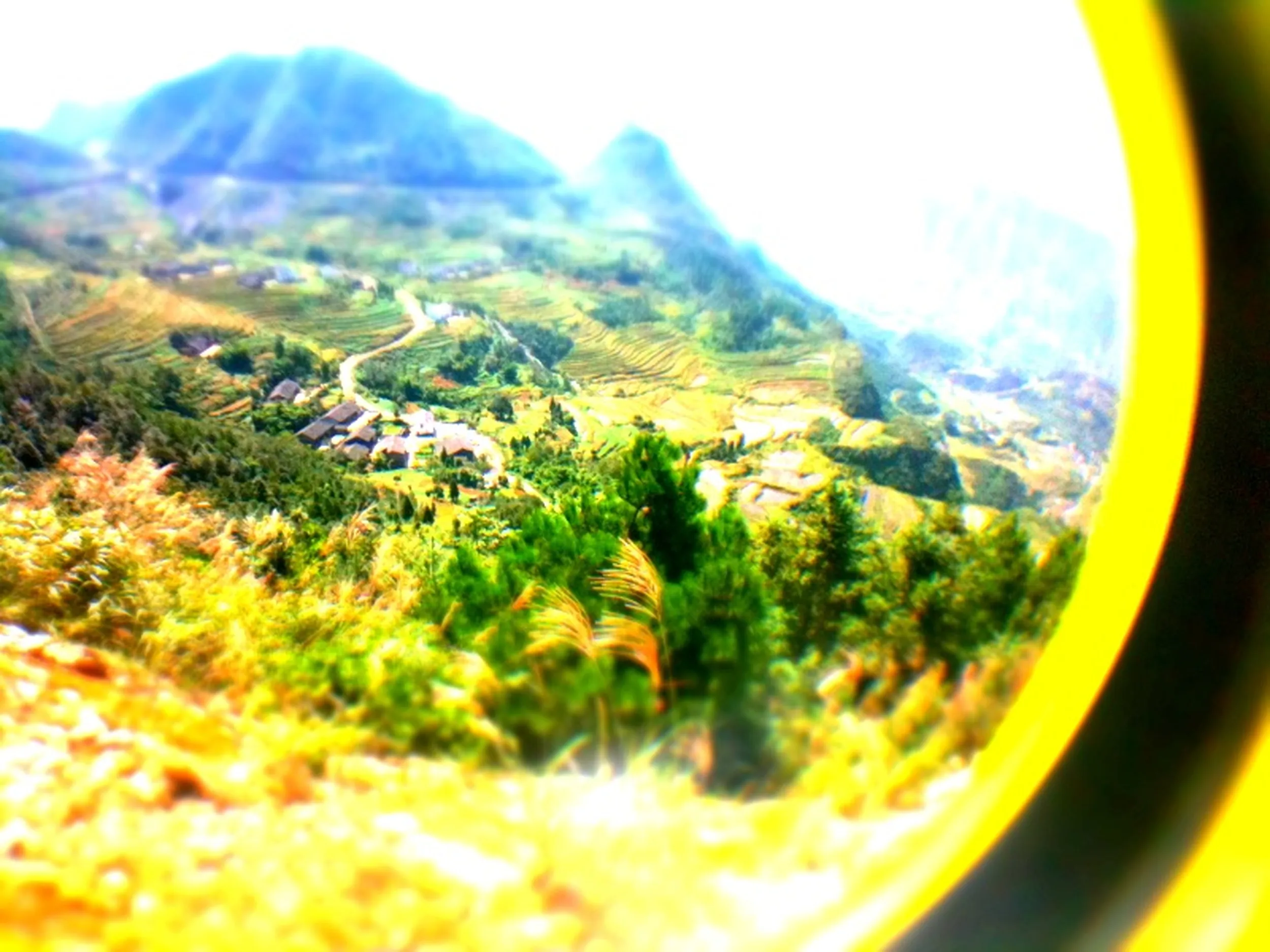 ミニチュア風の山道と段々畑