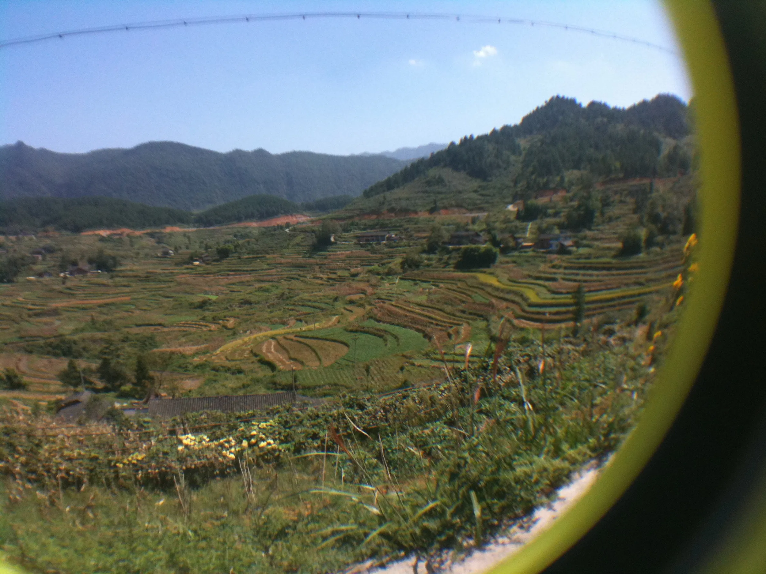 苗族の段々畑