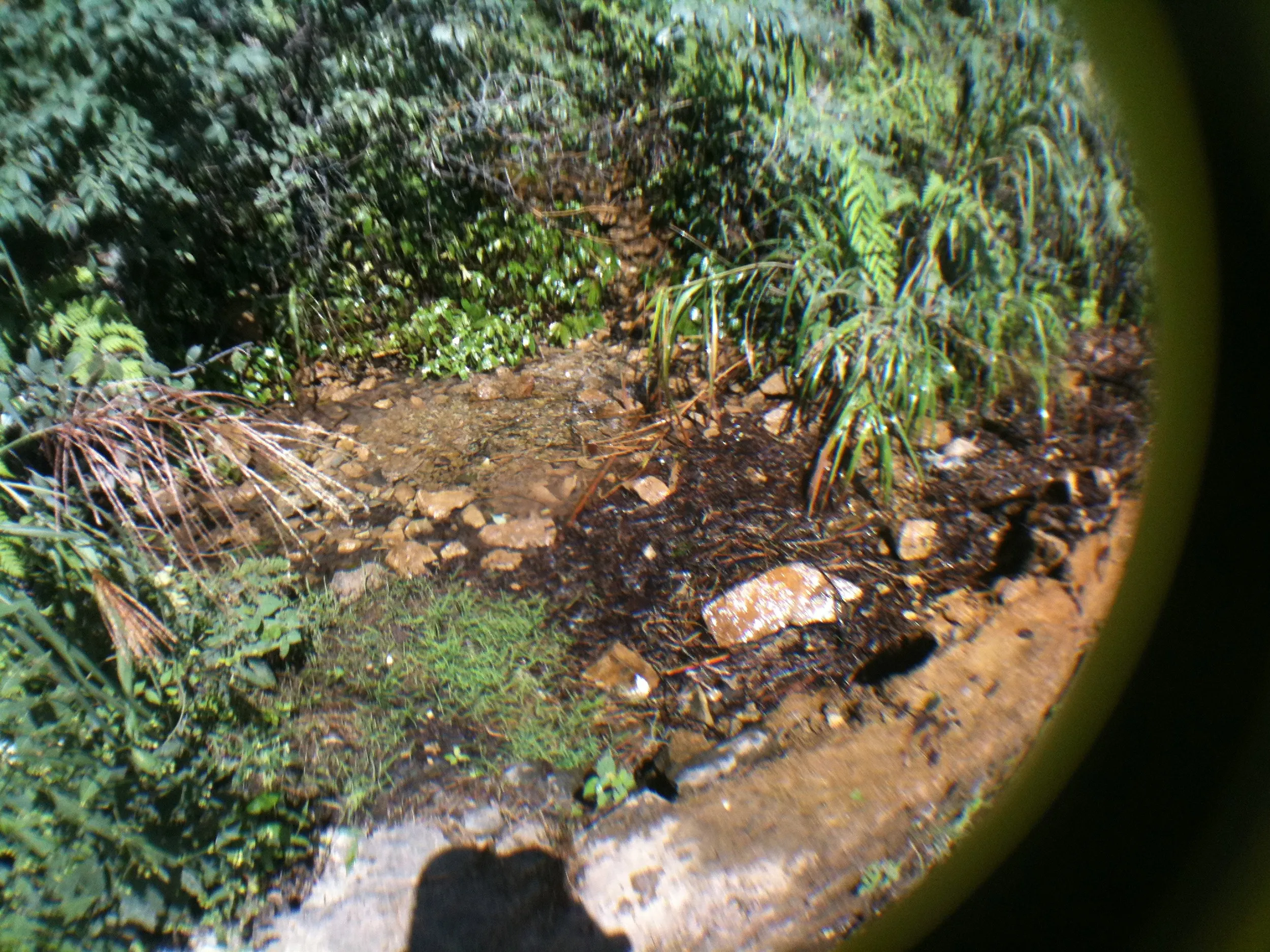 水筒に水を入れる運転手