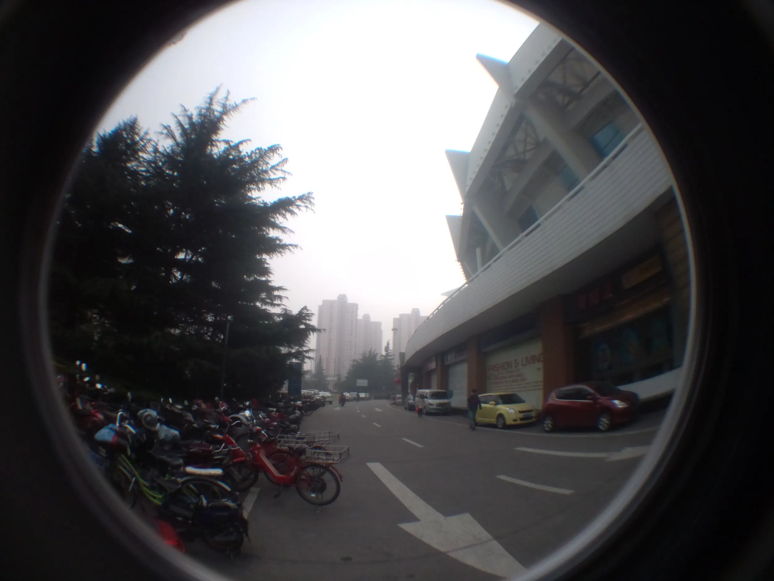 上海体育館付近の風景