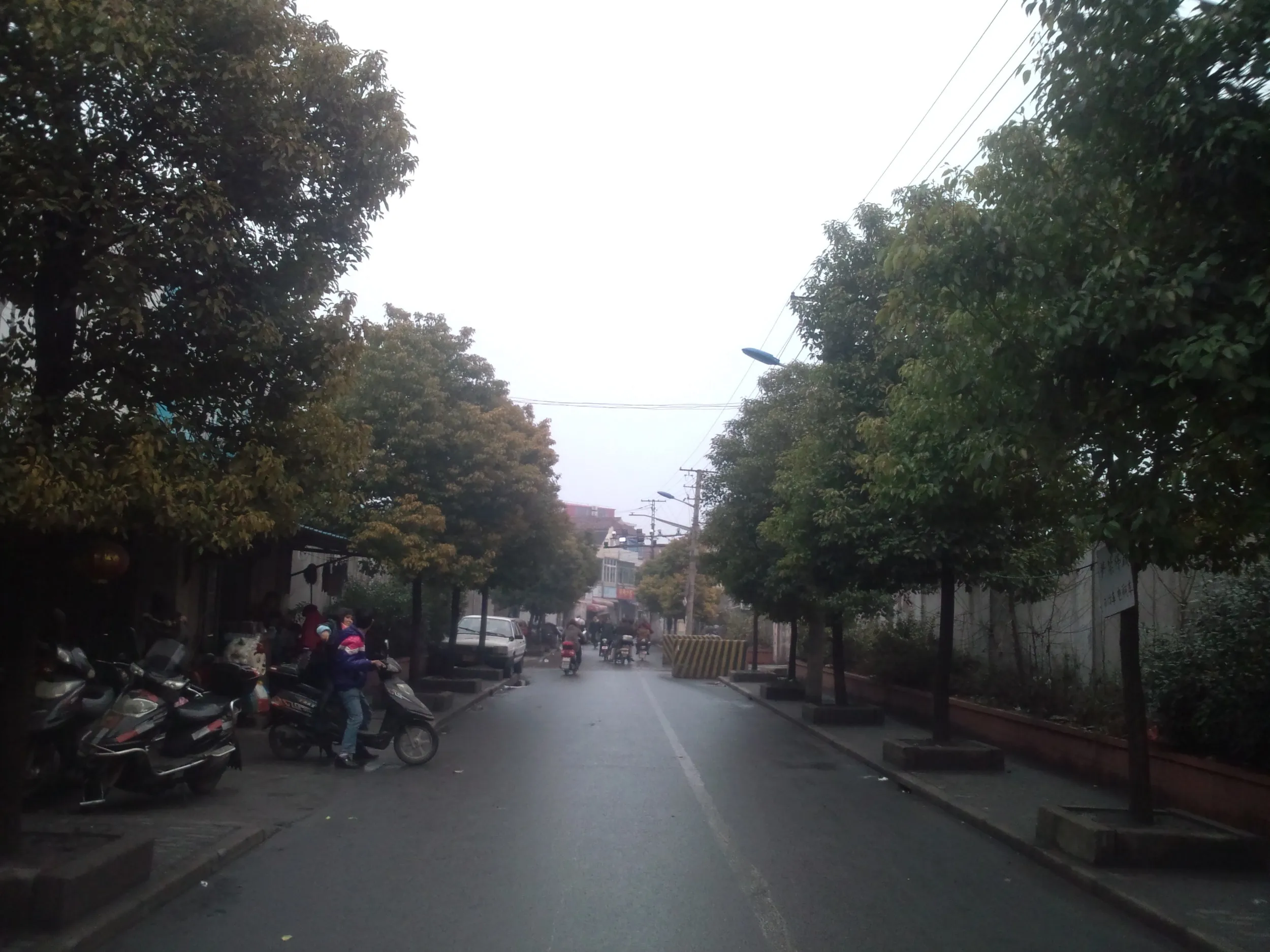 三岔港村周辺の風景