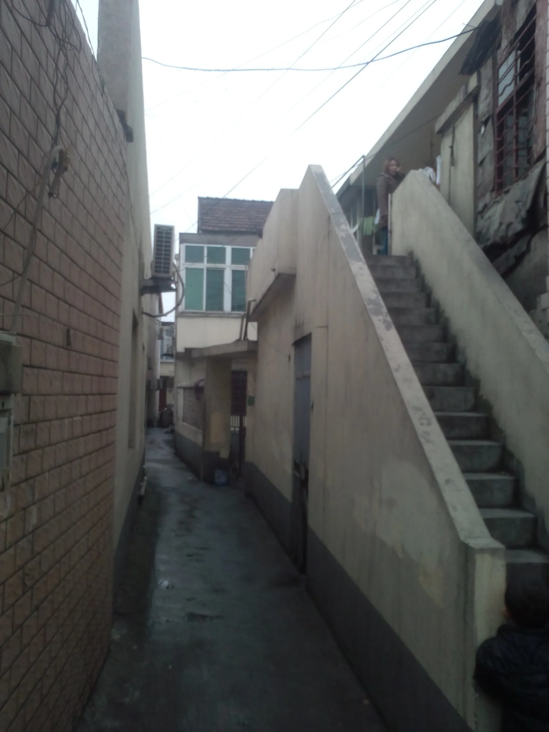 三岔港村周辺の風景