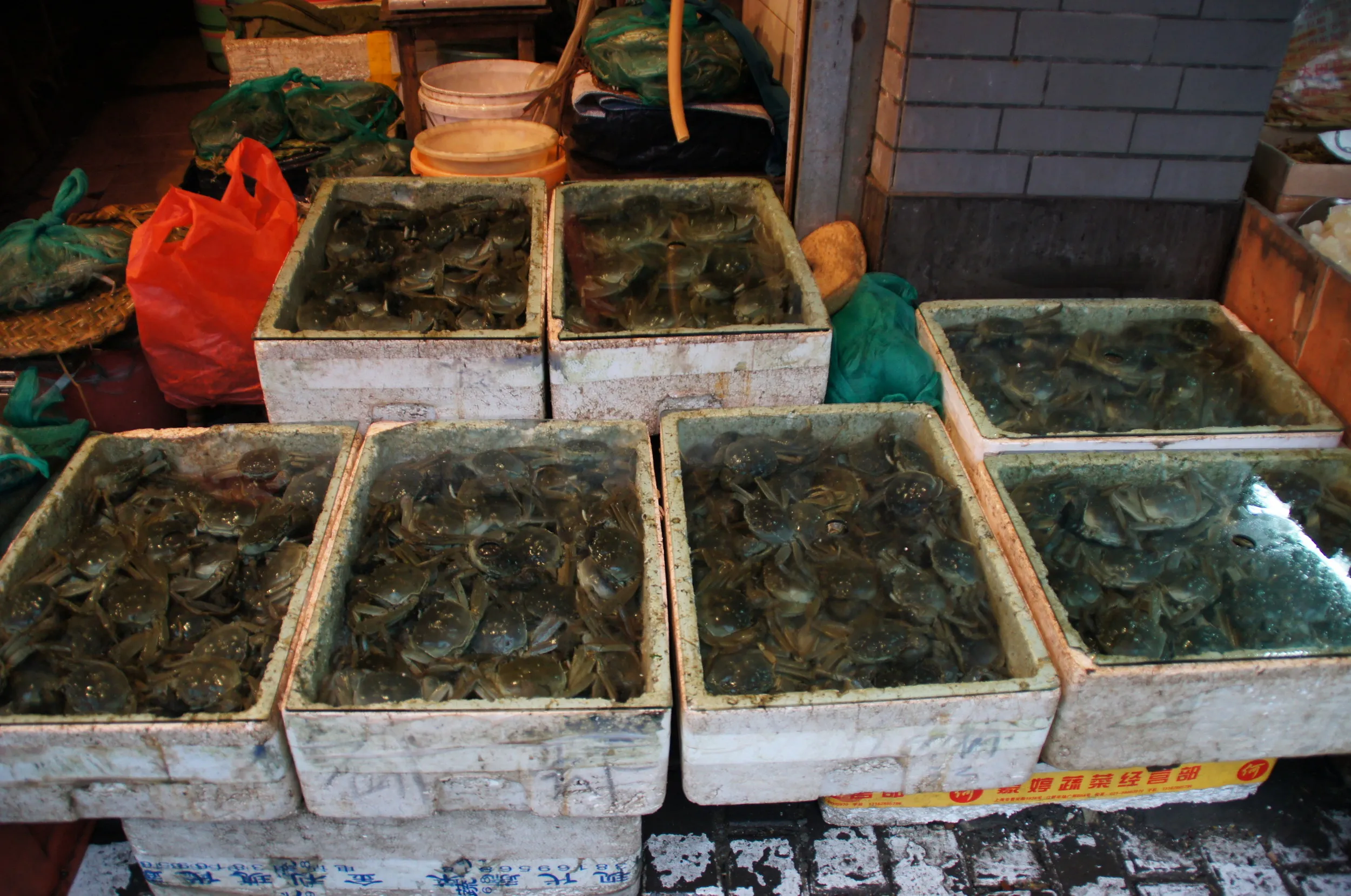 新閘路の市場を散歩。上海カニがたくさん