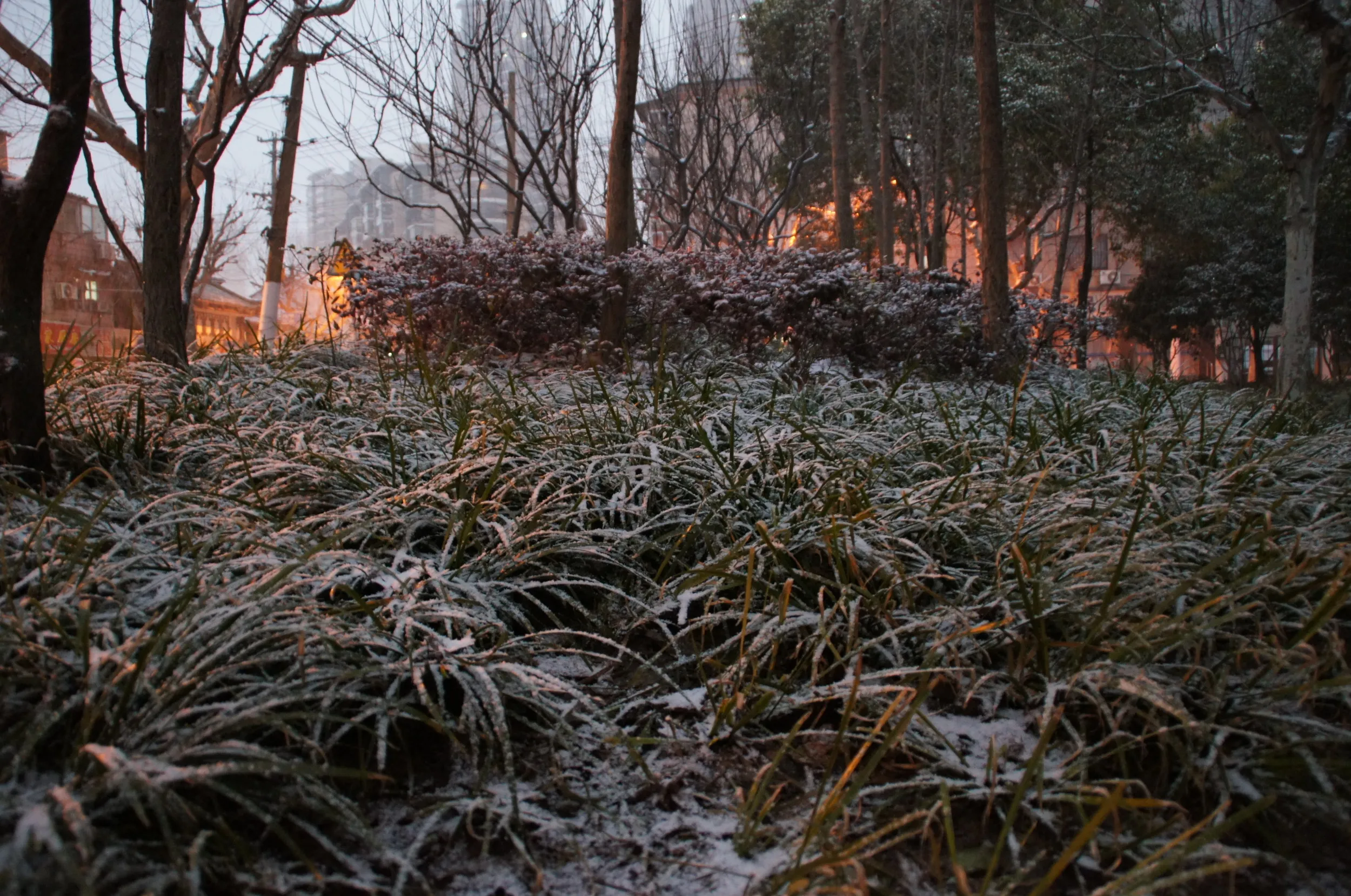 雪景色の新閘路付近