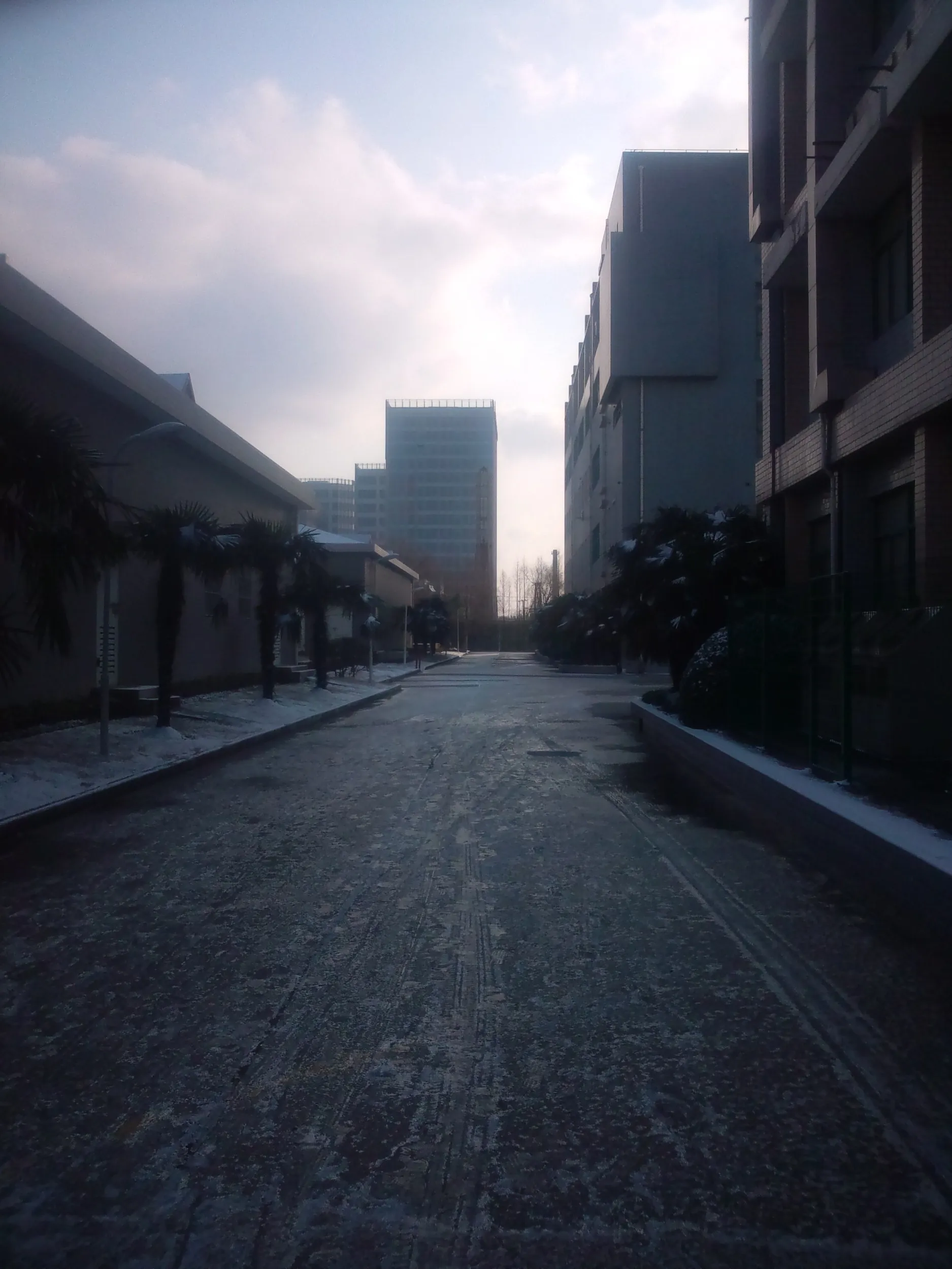 路面が凍結していた