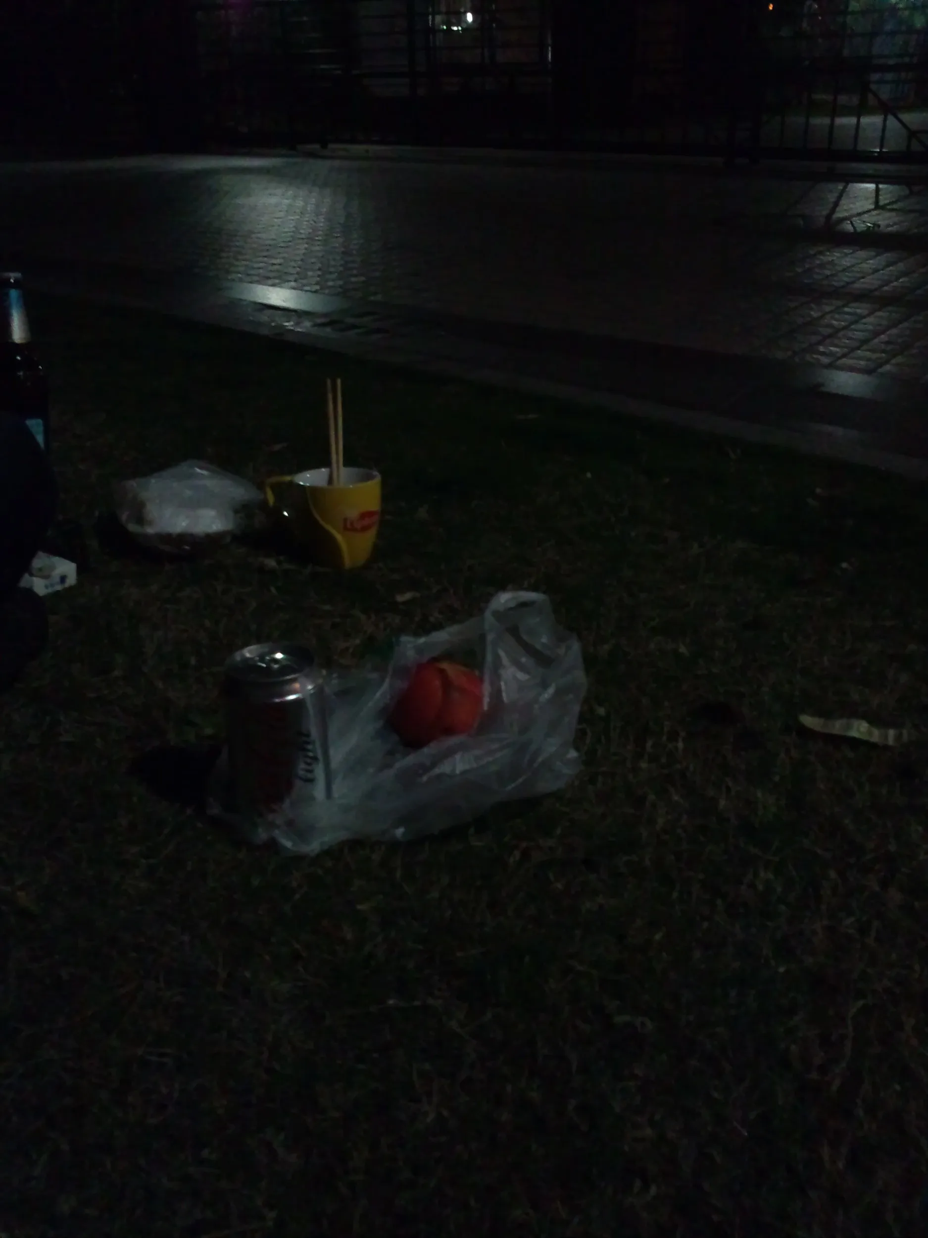 ユースホステル付近の芝生でまったり