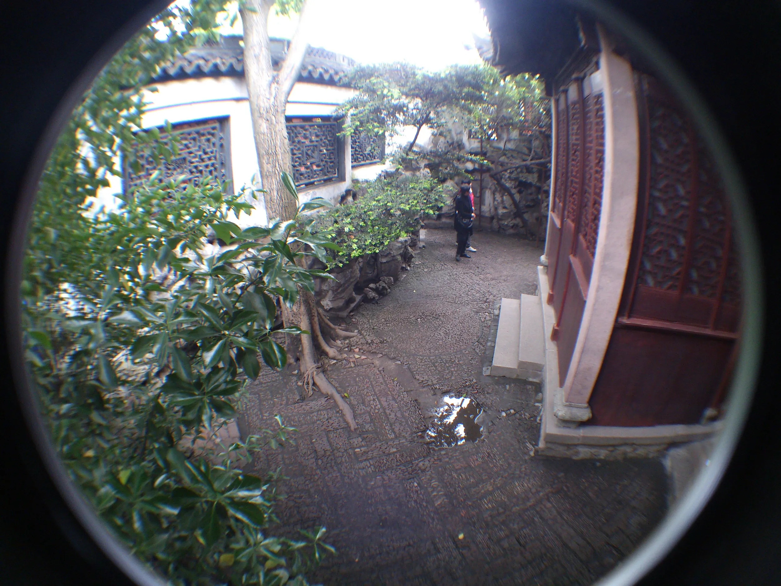 点春堂と和煦堂付近の風景