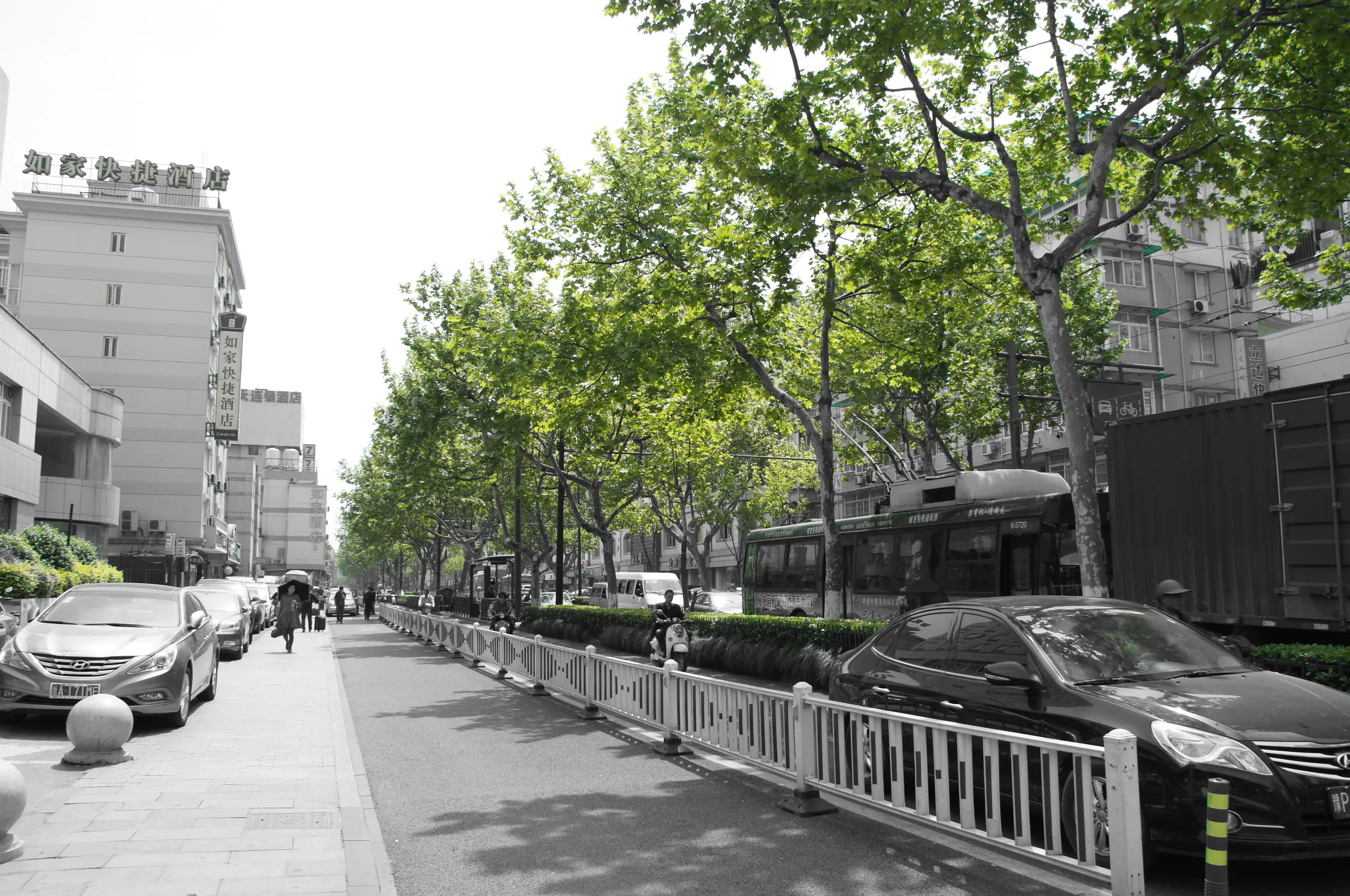 江城路沿いの風景 ピクチャエフェクト