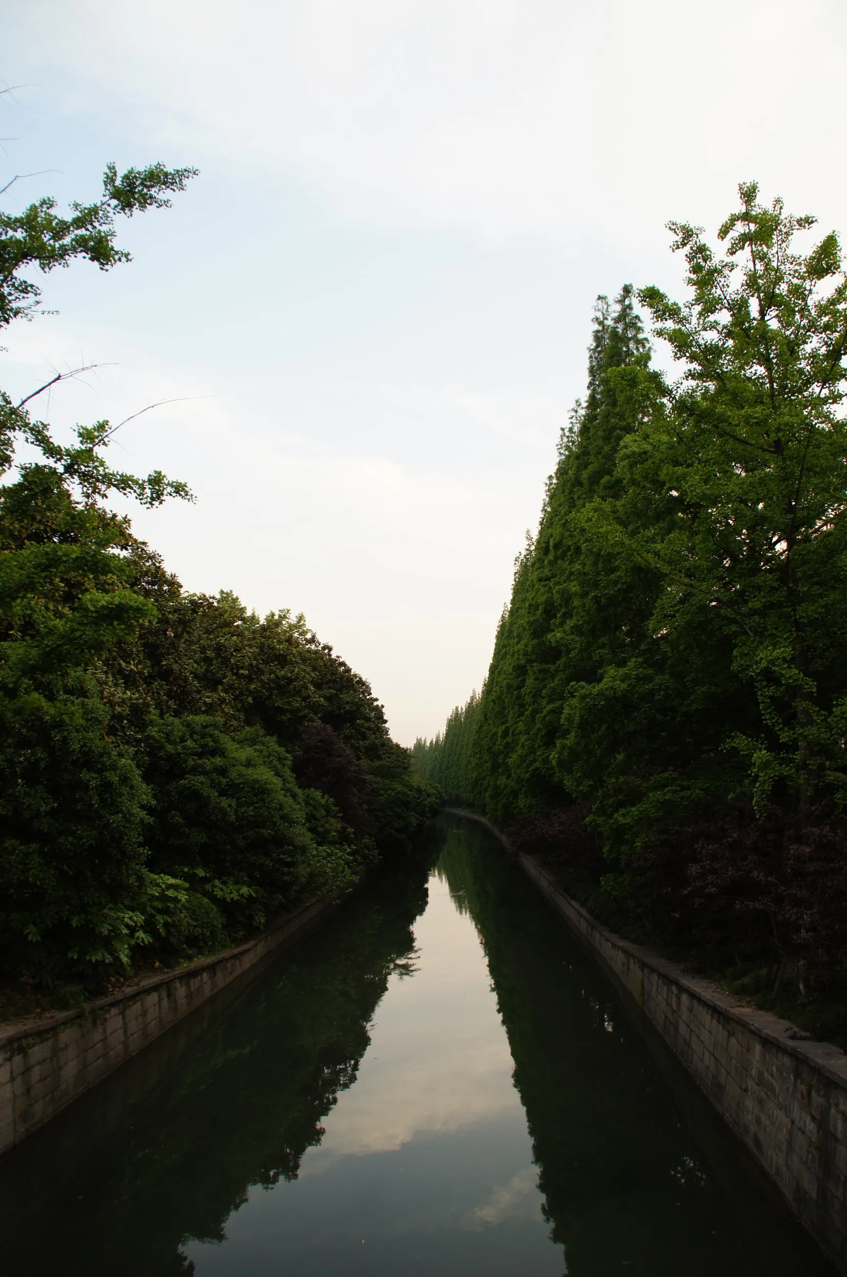 交差点から水路を眺める