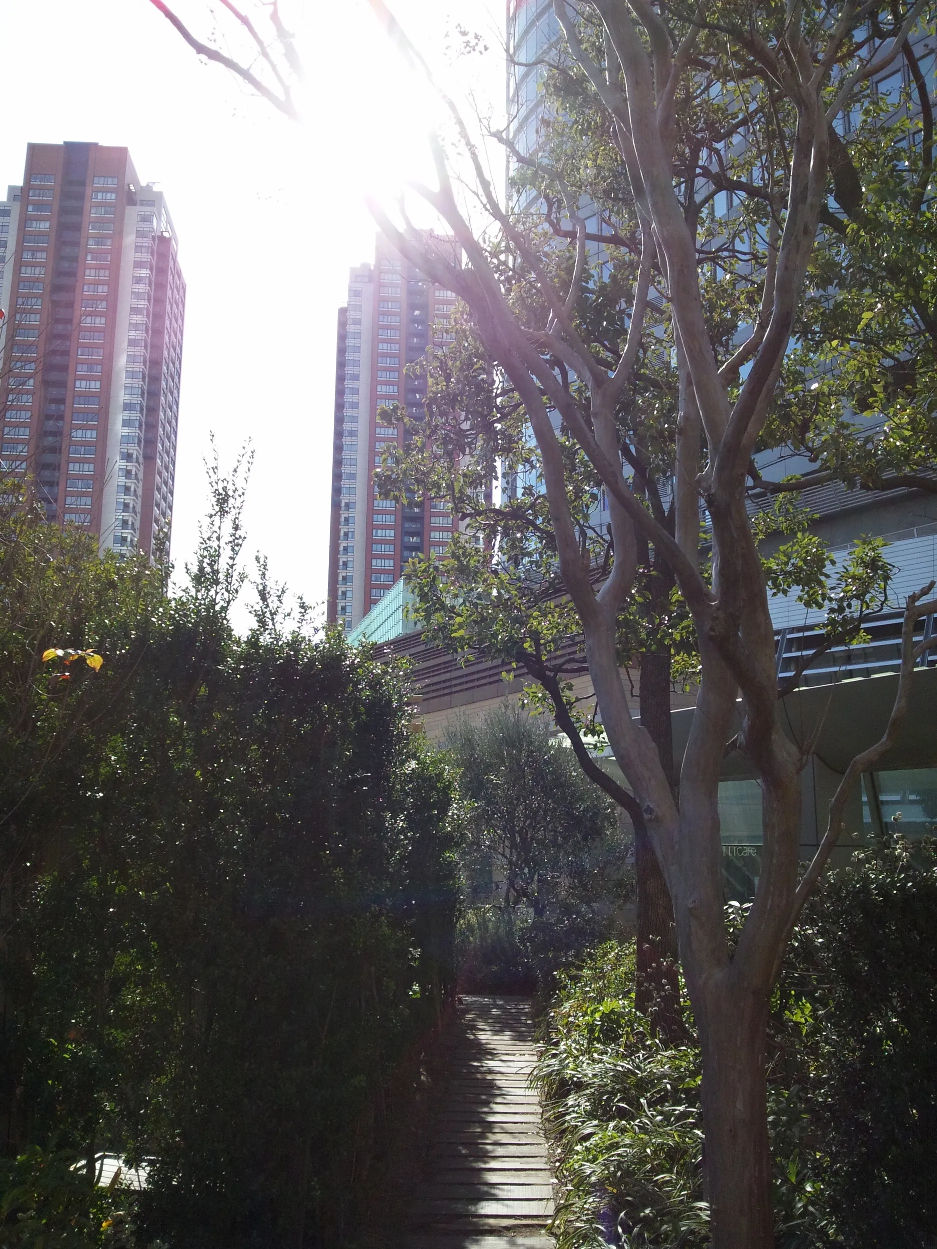 六本木ヒルズの外側風景