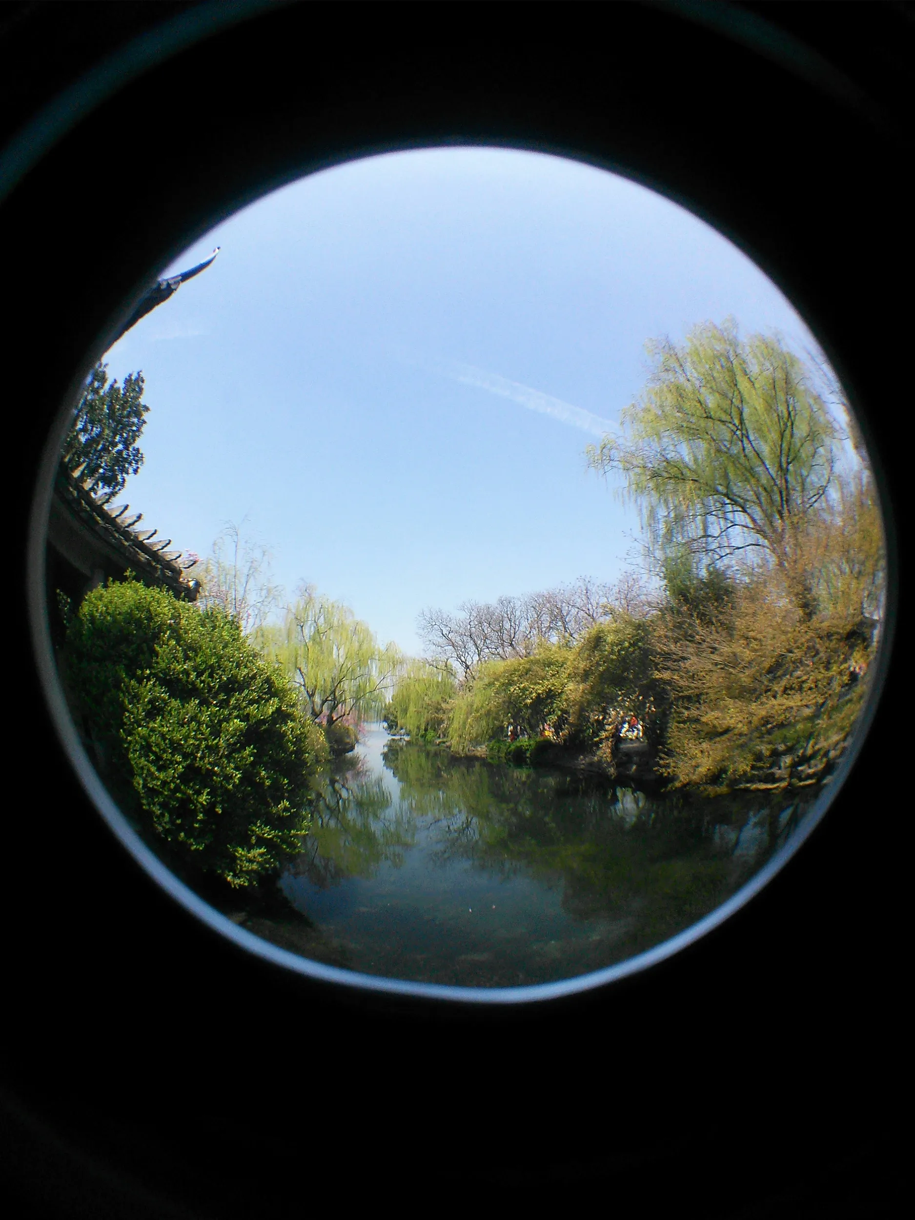 花港観魚の風景