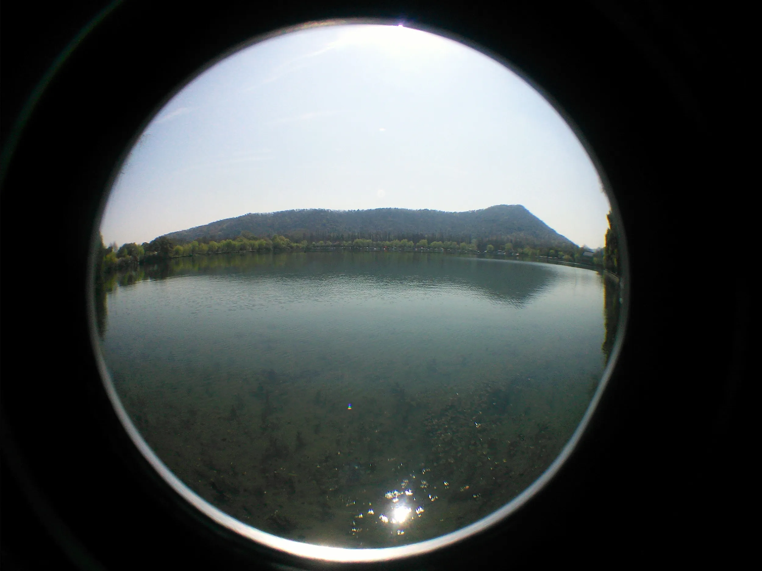 花港観魚の紅魚池