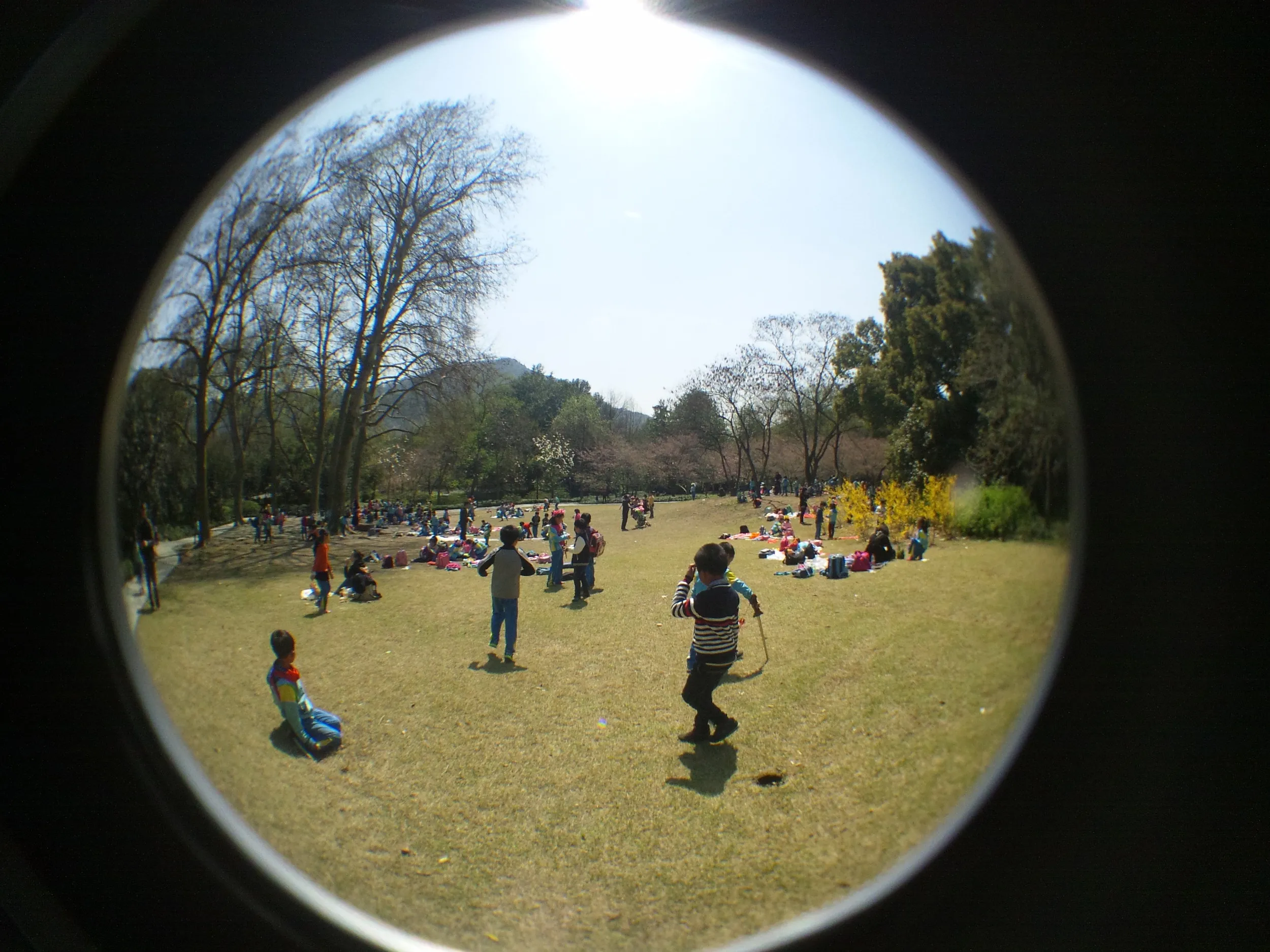 花港公園で遊ぶ子供達