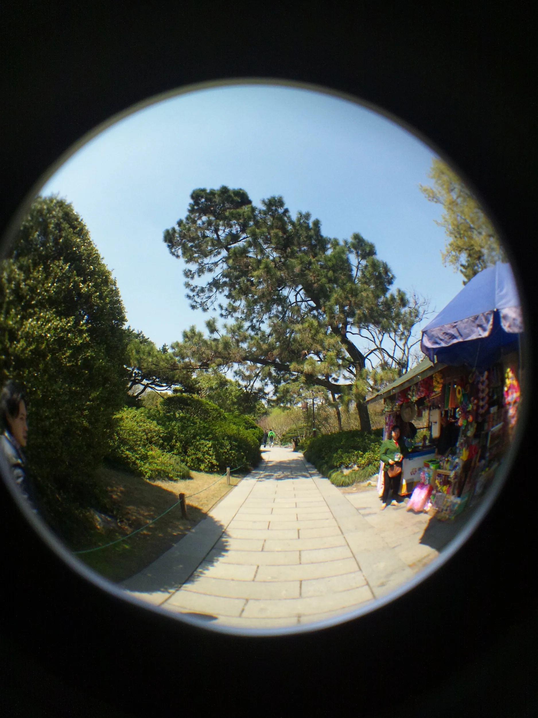 花港公園の風景