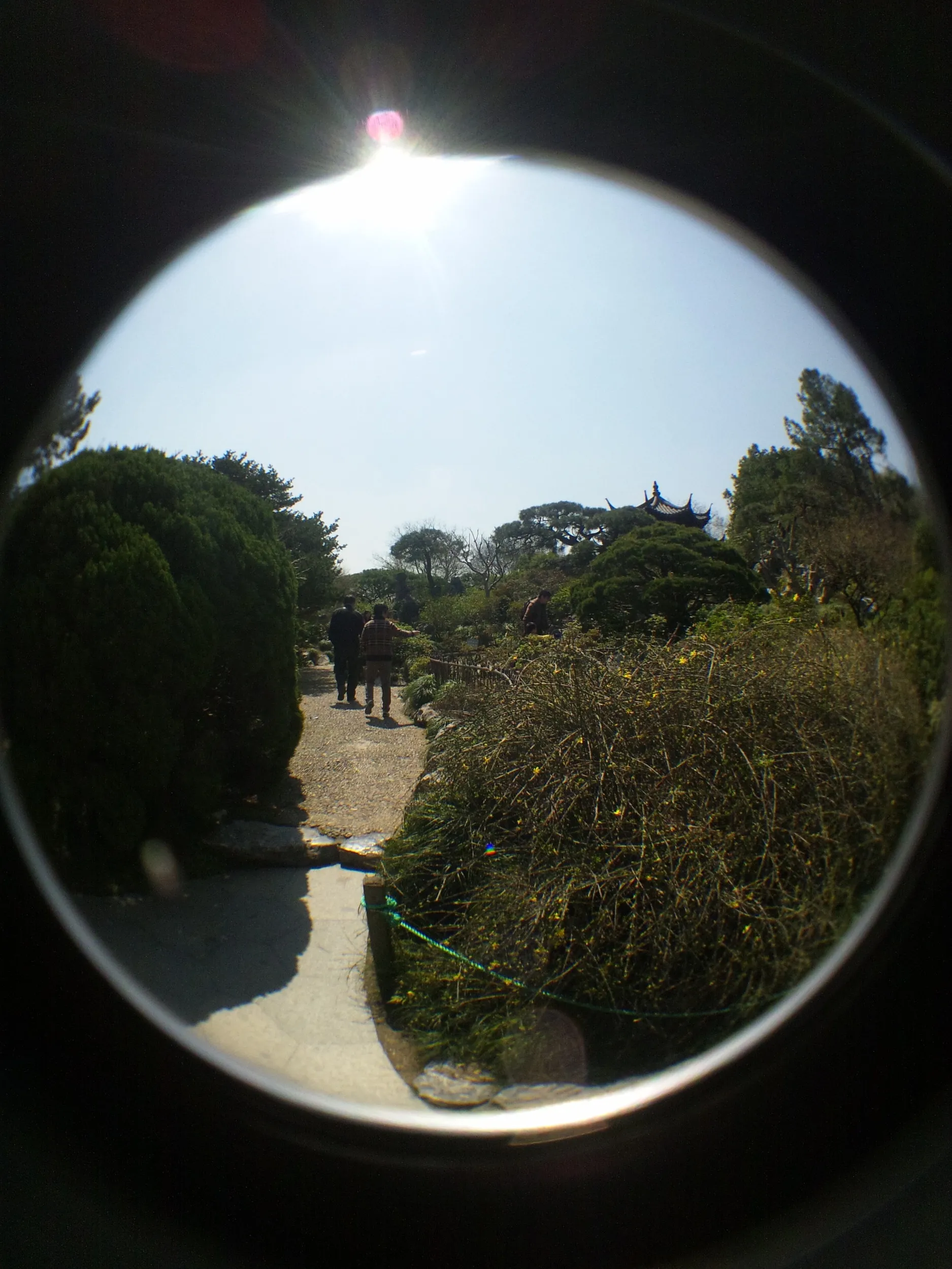 花港公園の風景