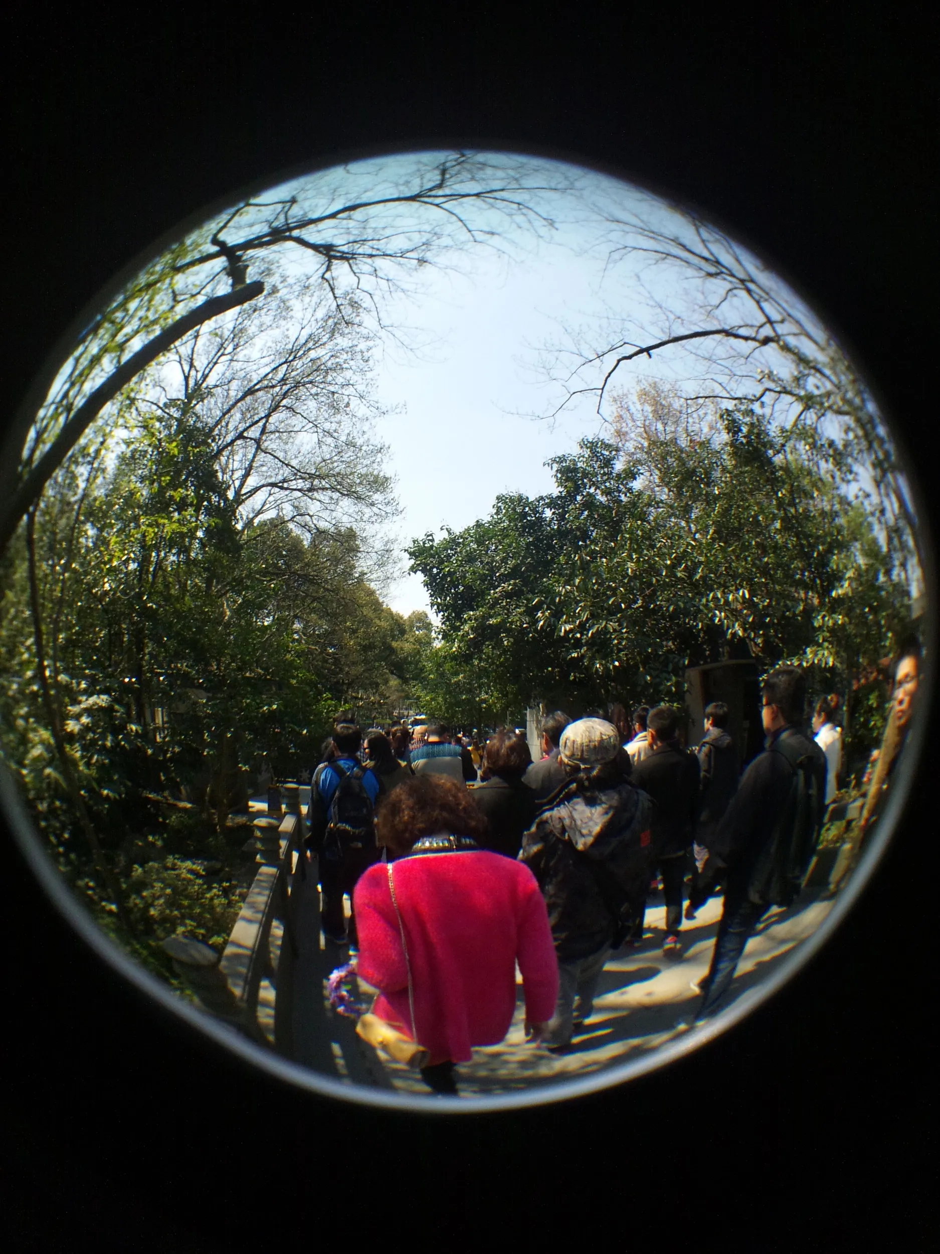 西湖周辺の風景