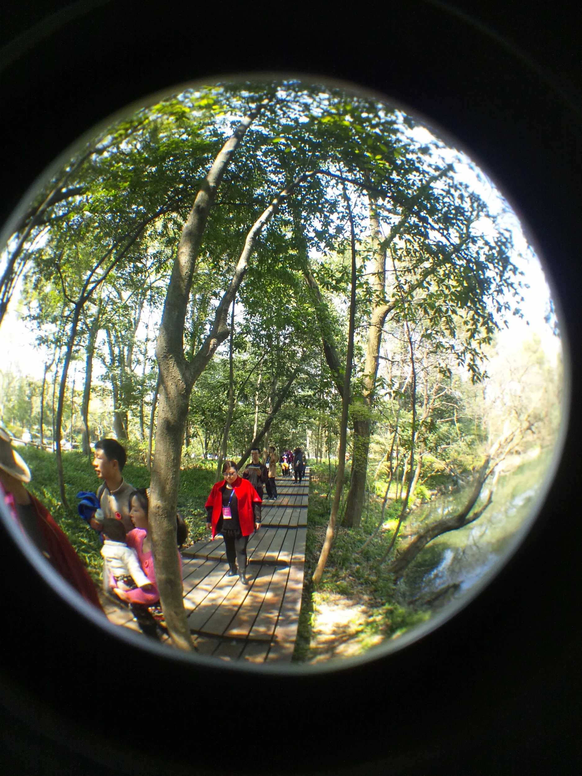 西湖周辺の風景