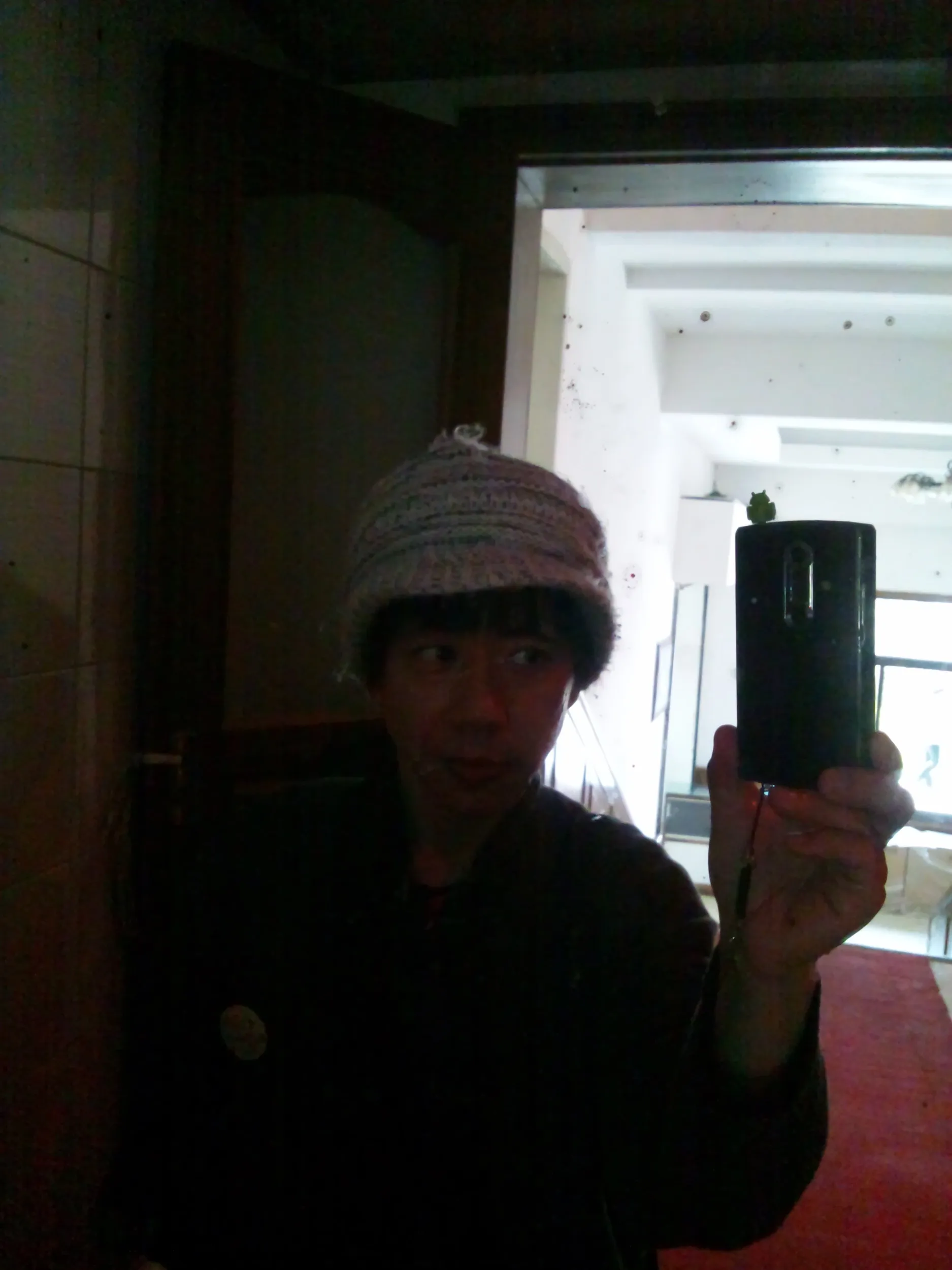 望江楼のトイレ