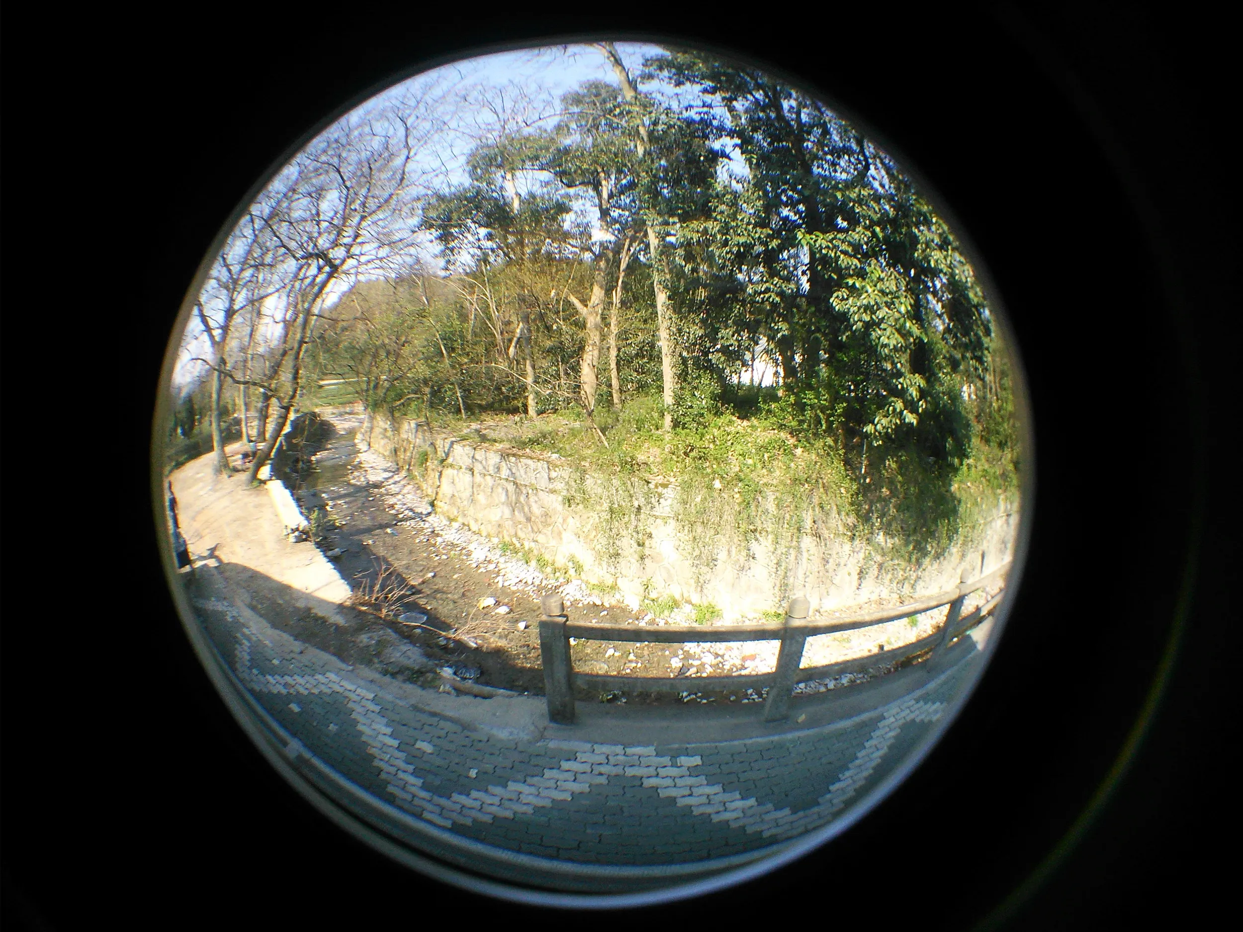 お茶が試飲出来る場所