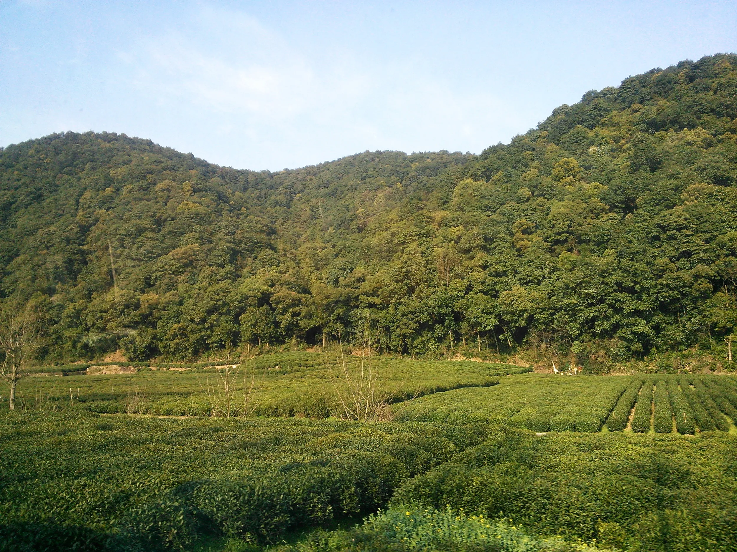 黄龍洞へ向かう車窓風景