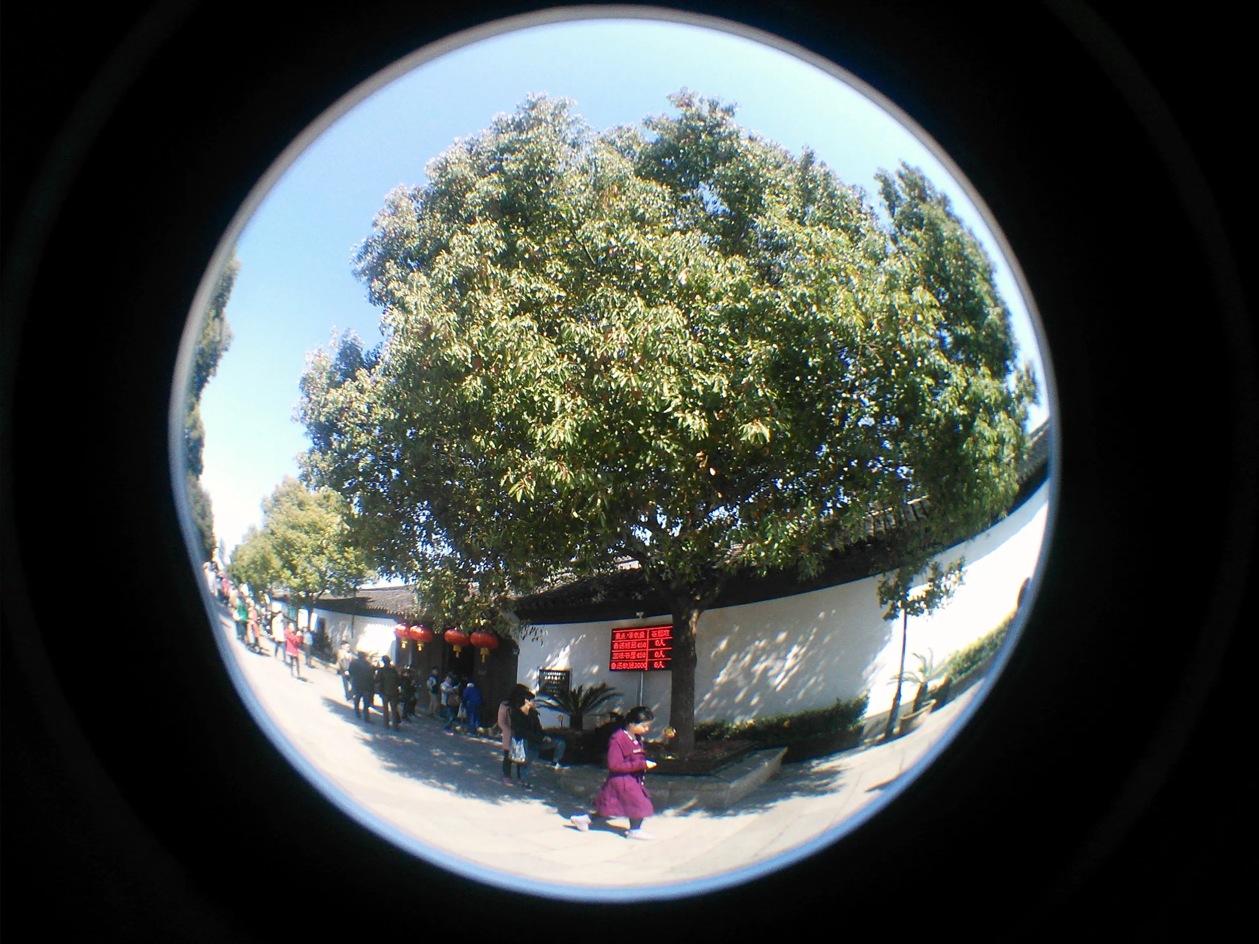 魯迅の故郷（故里）・沈園景観区