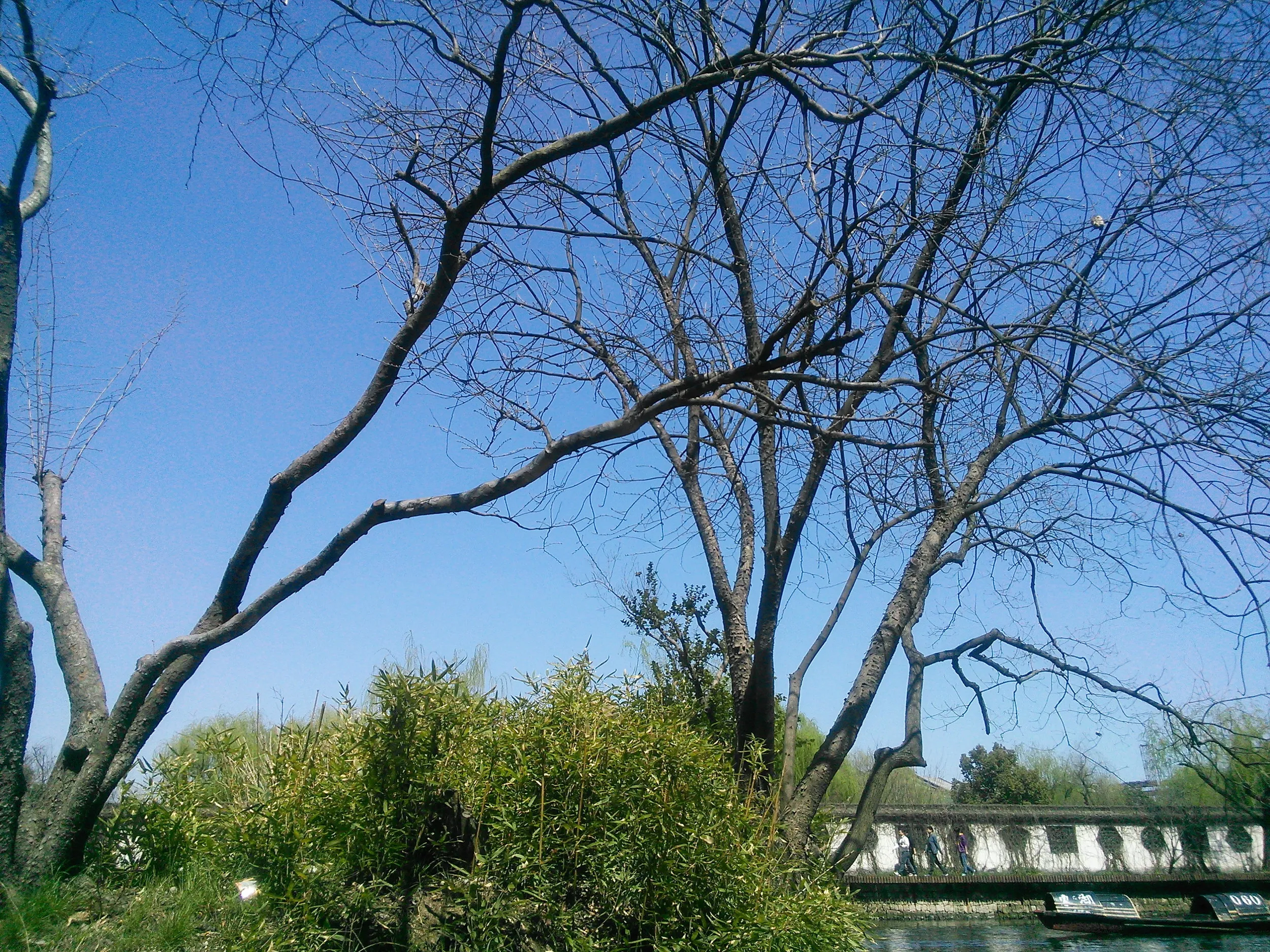 ボートからの東湖風景