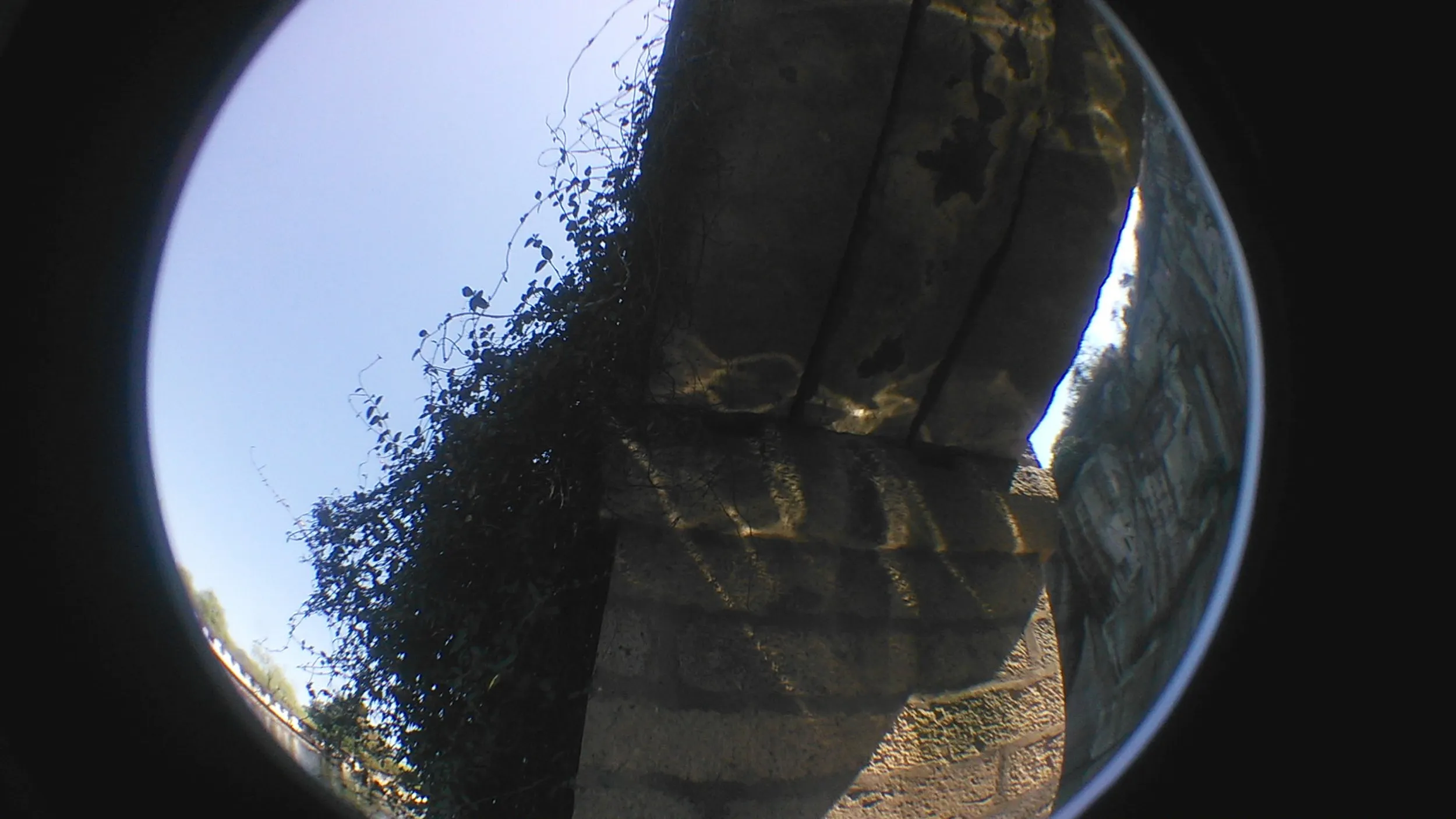 ボートからの東湖風景