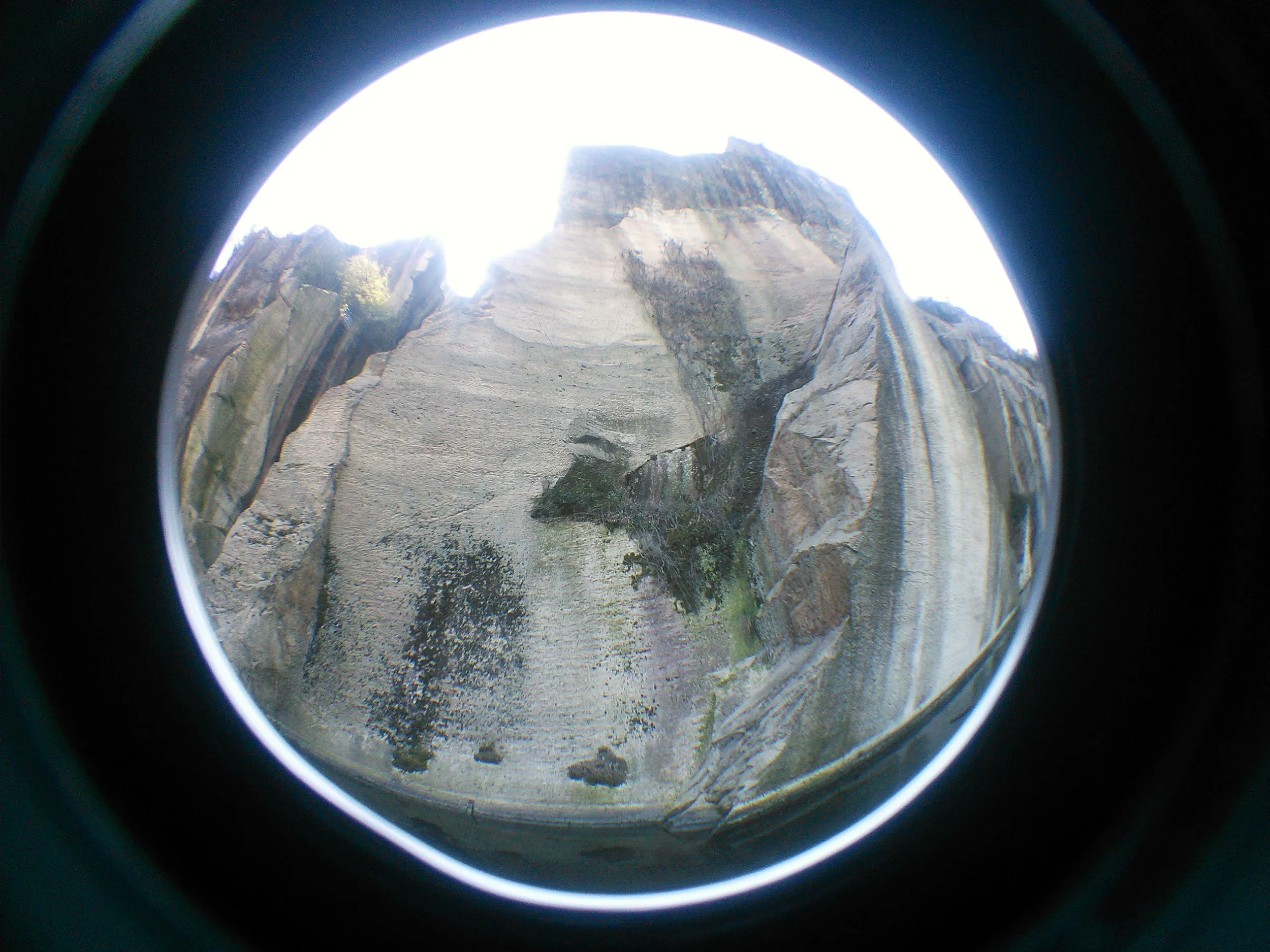 ボートからの東湖風景
