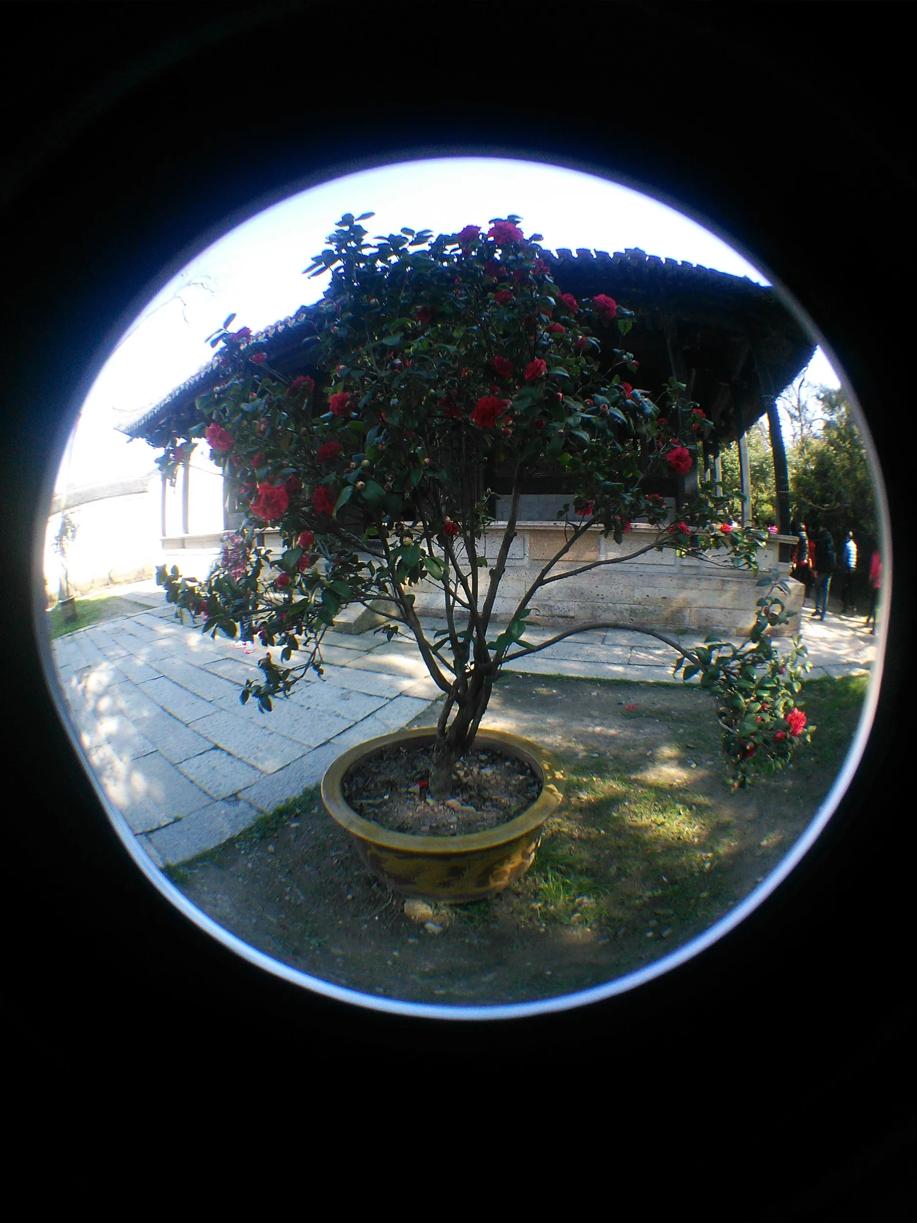 書道家の聖地、蘭亭を観光