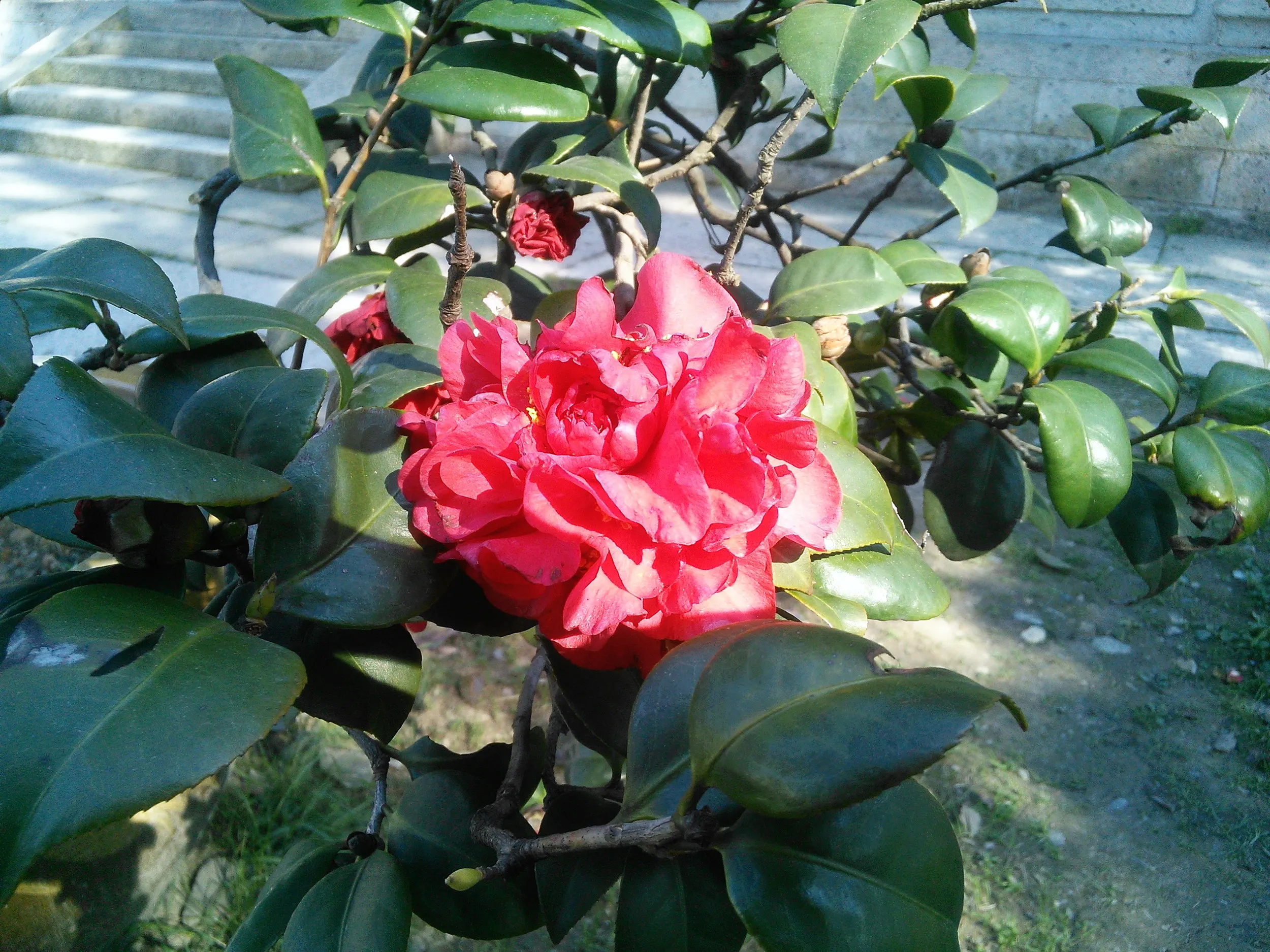 書道家の聖地、蘭亭を観光