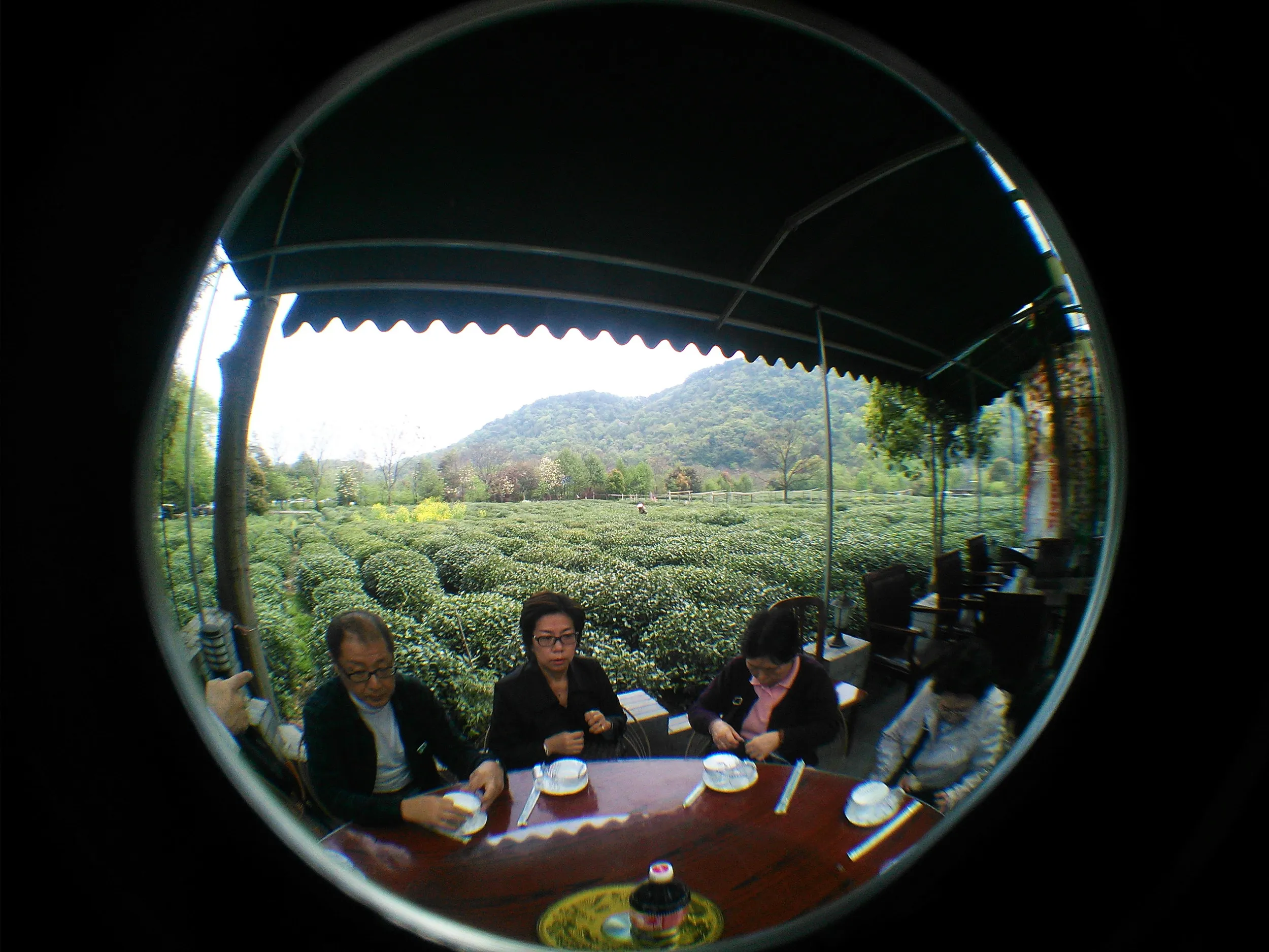 西湖龍井茶の産地へ到着