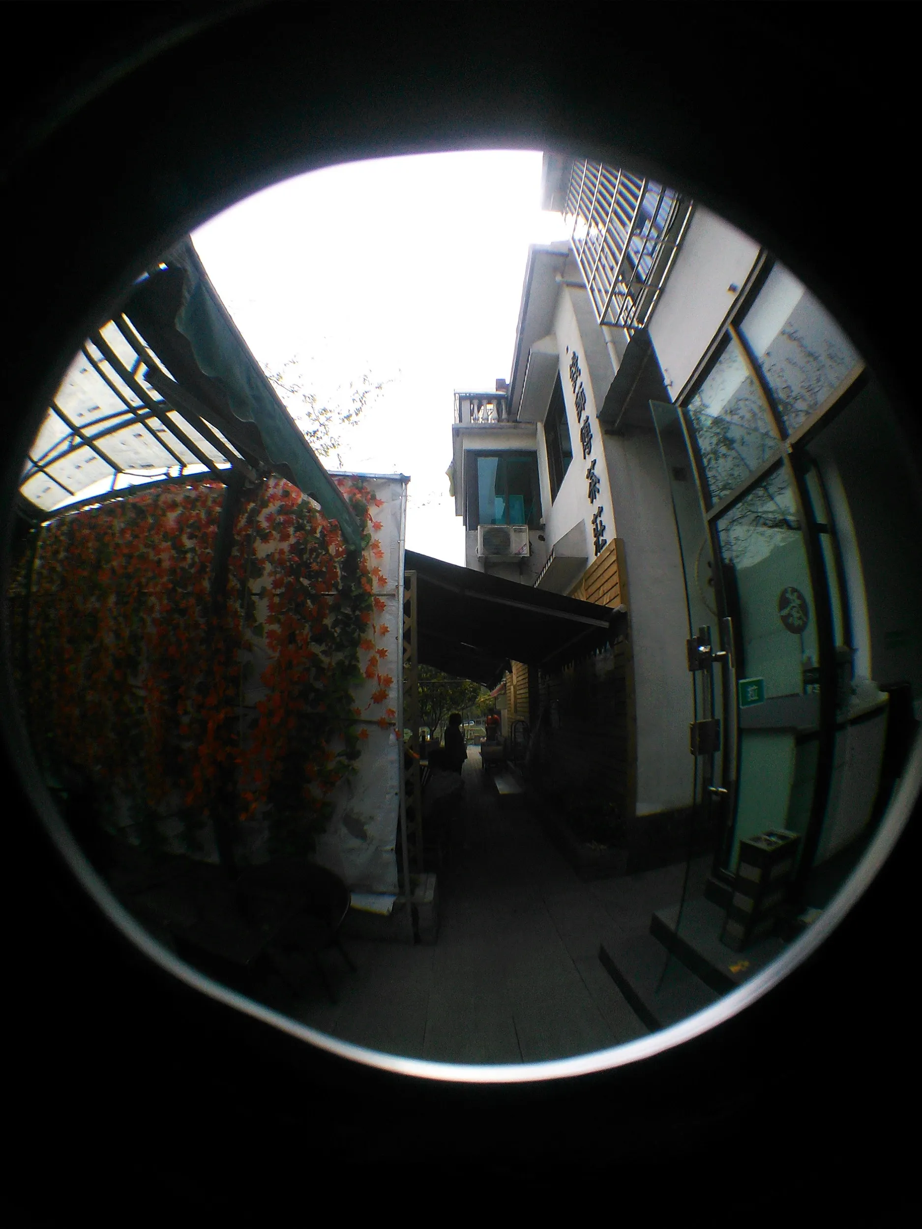 産地にて杭州の家庭料理を食す