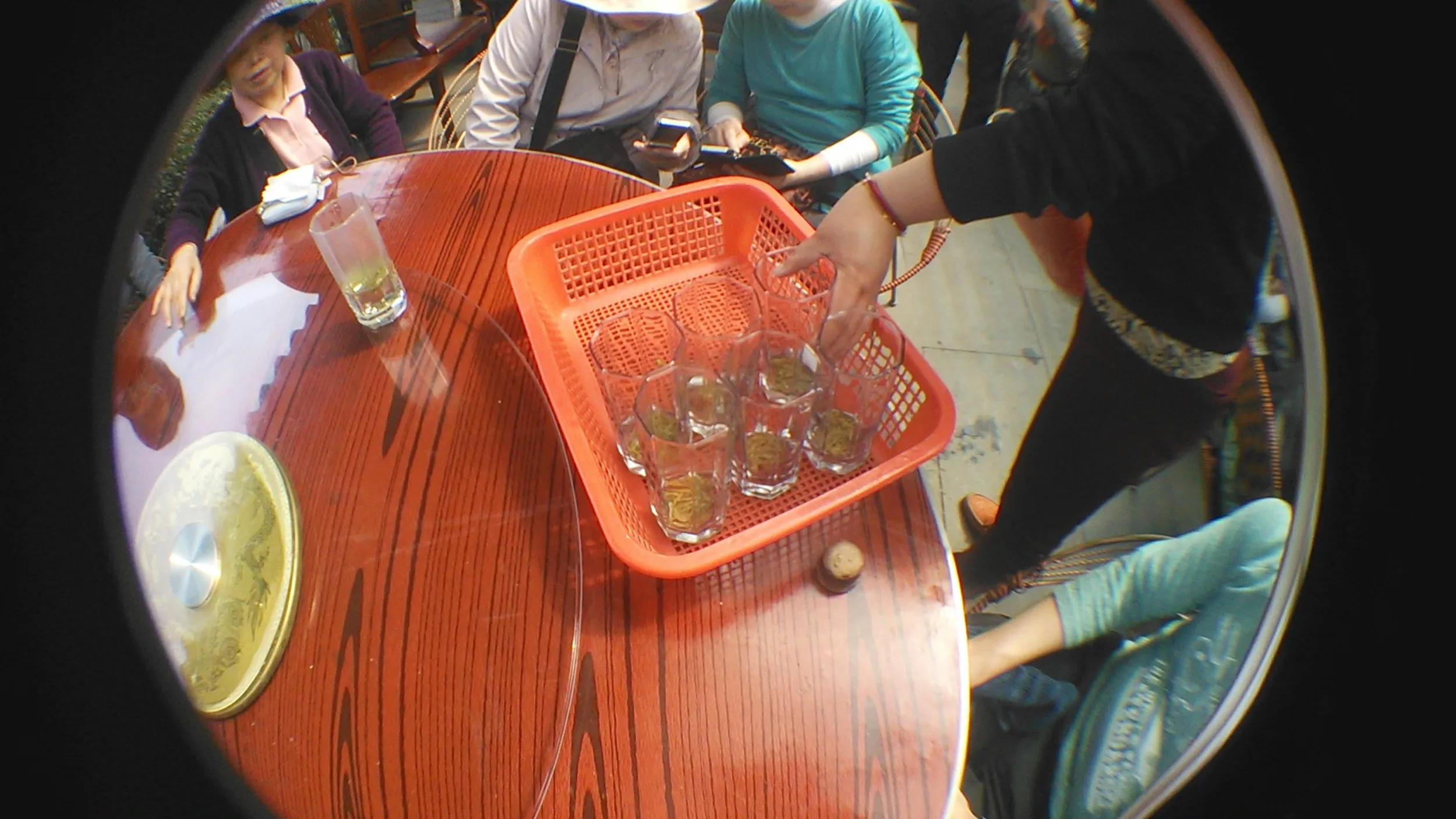 新茶を試飲する